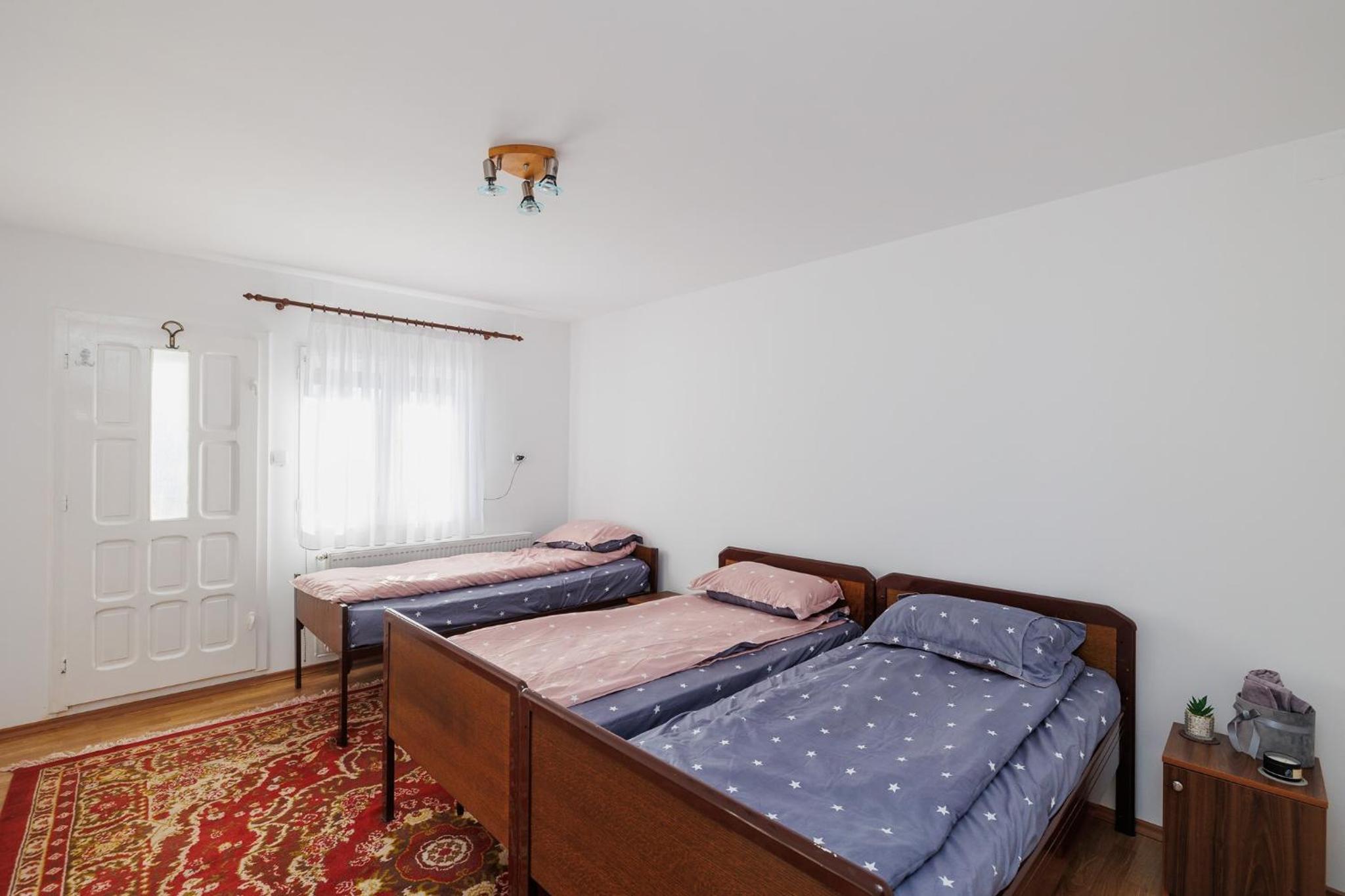 Cabana Rus-Beliș view 4