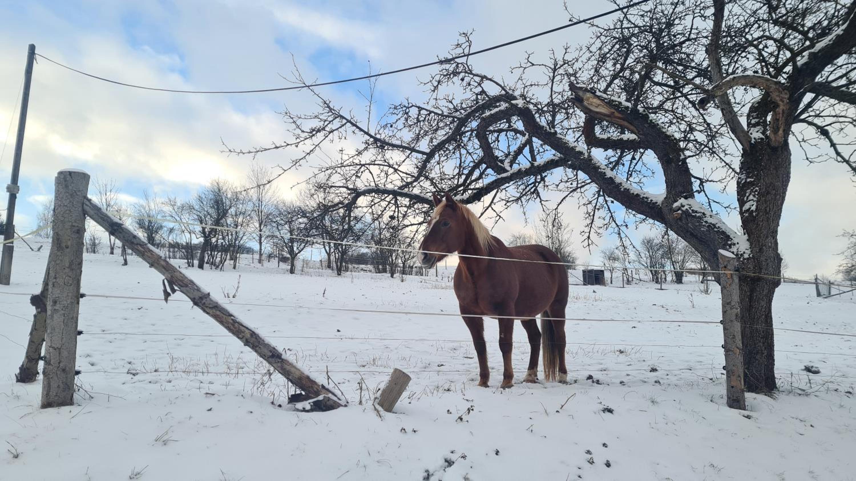 Apartmán Malá Valaška