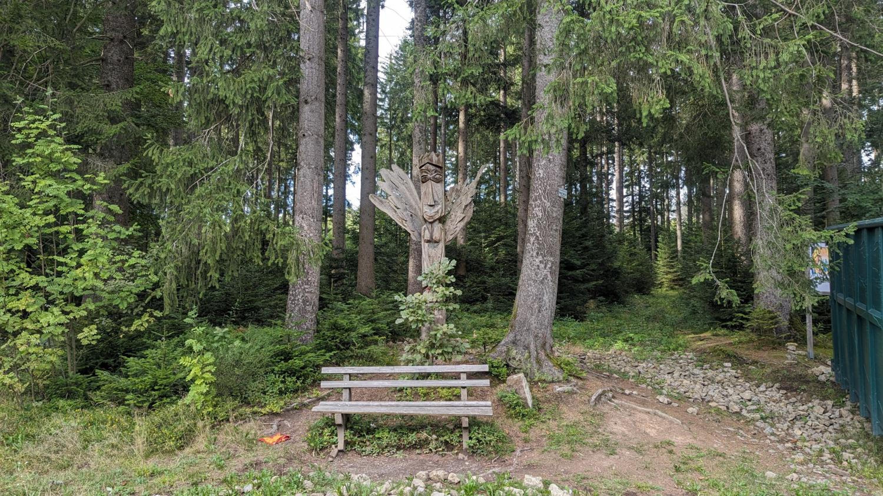 Photo 41