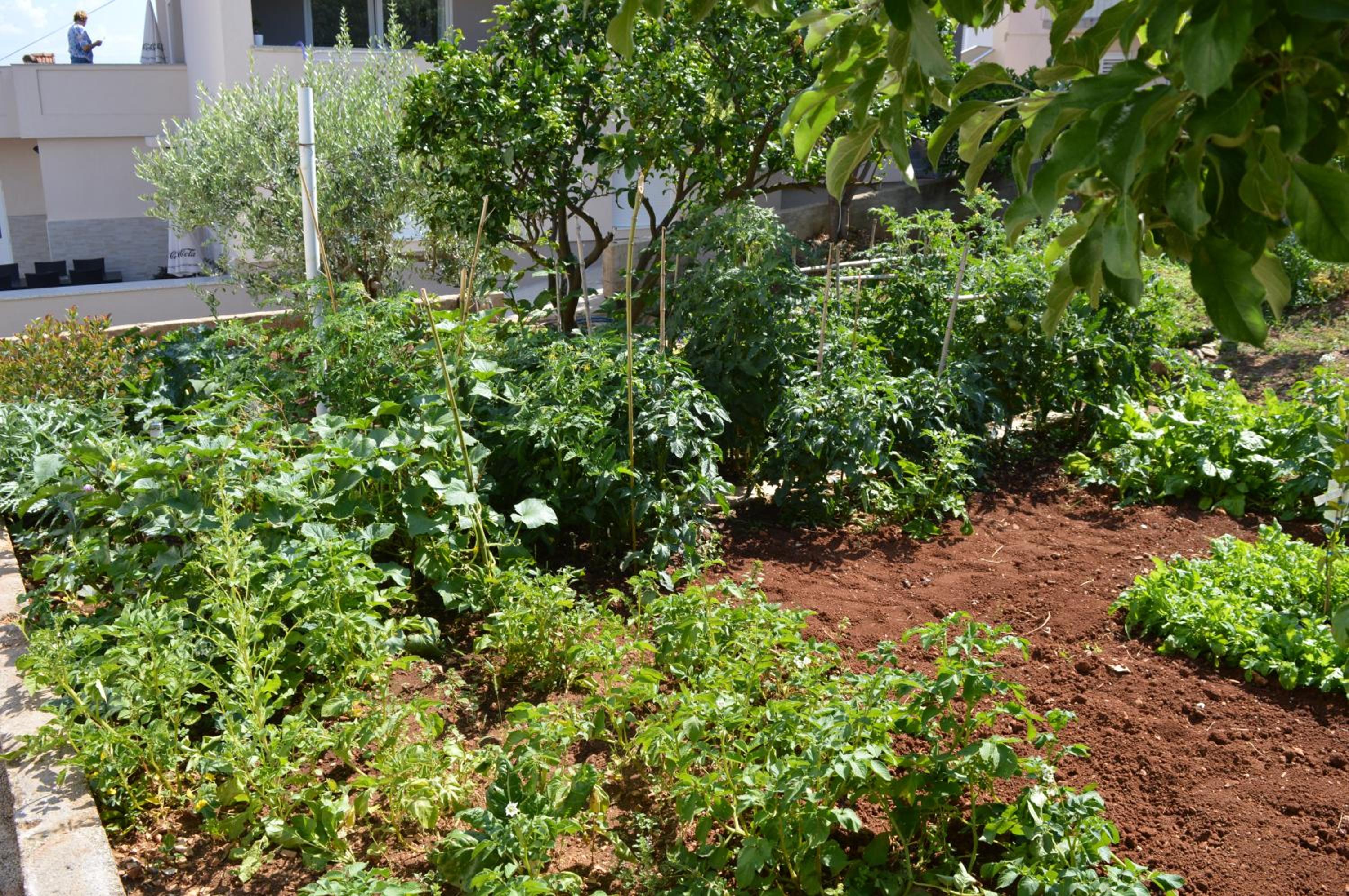 Photo 21
