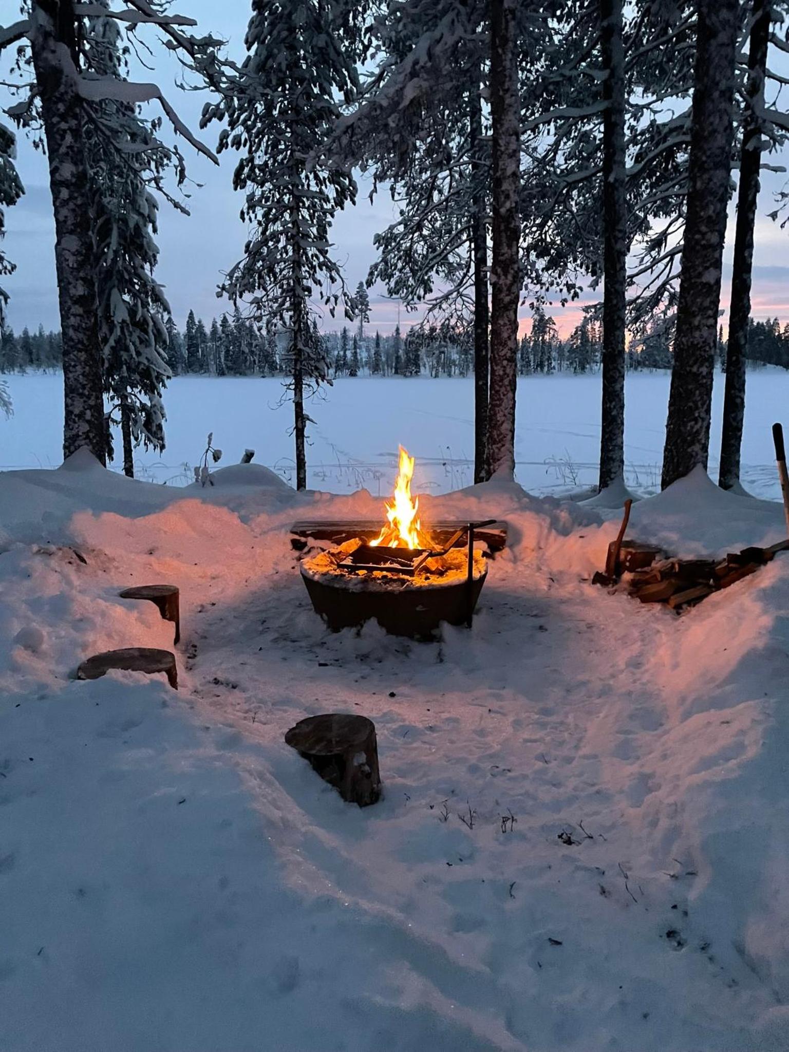 Pine Tree Cabin in Lappland view 3