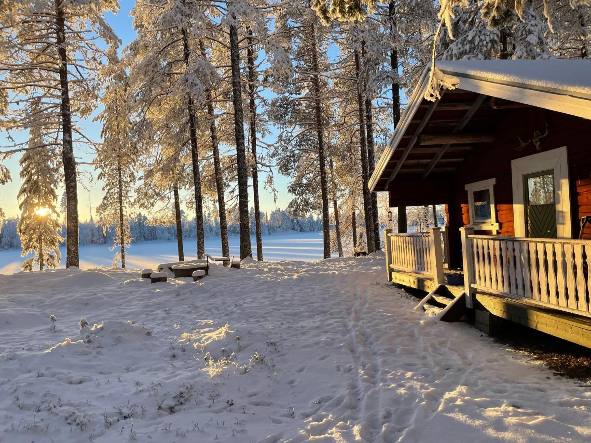 Pine Tree Cabin in Lappland view 4