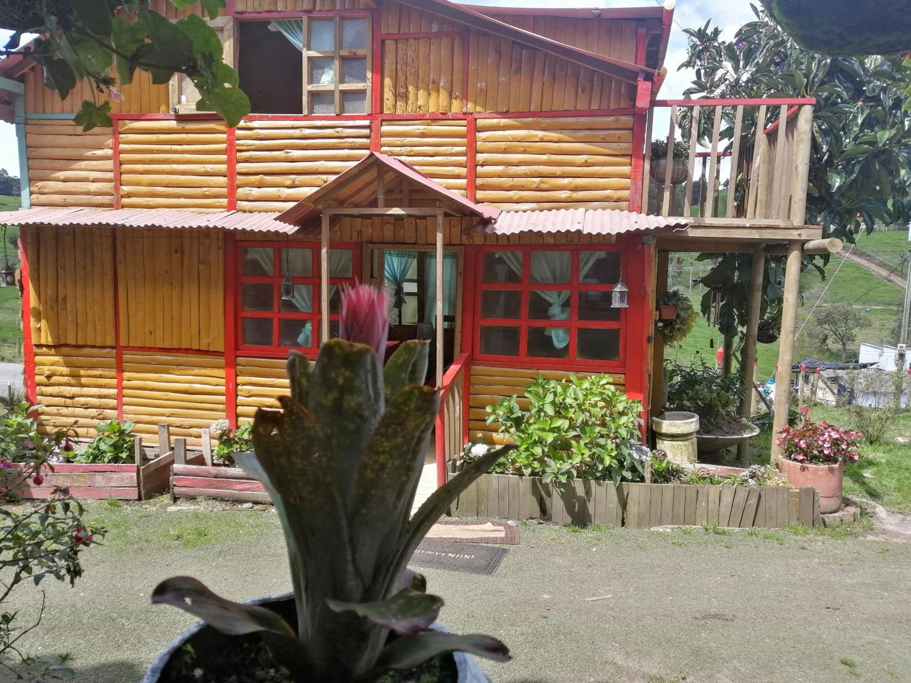 Photo 45