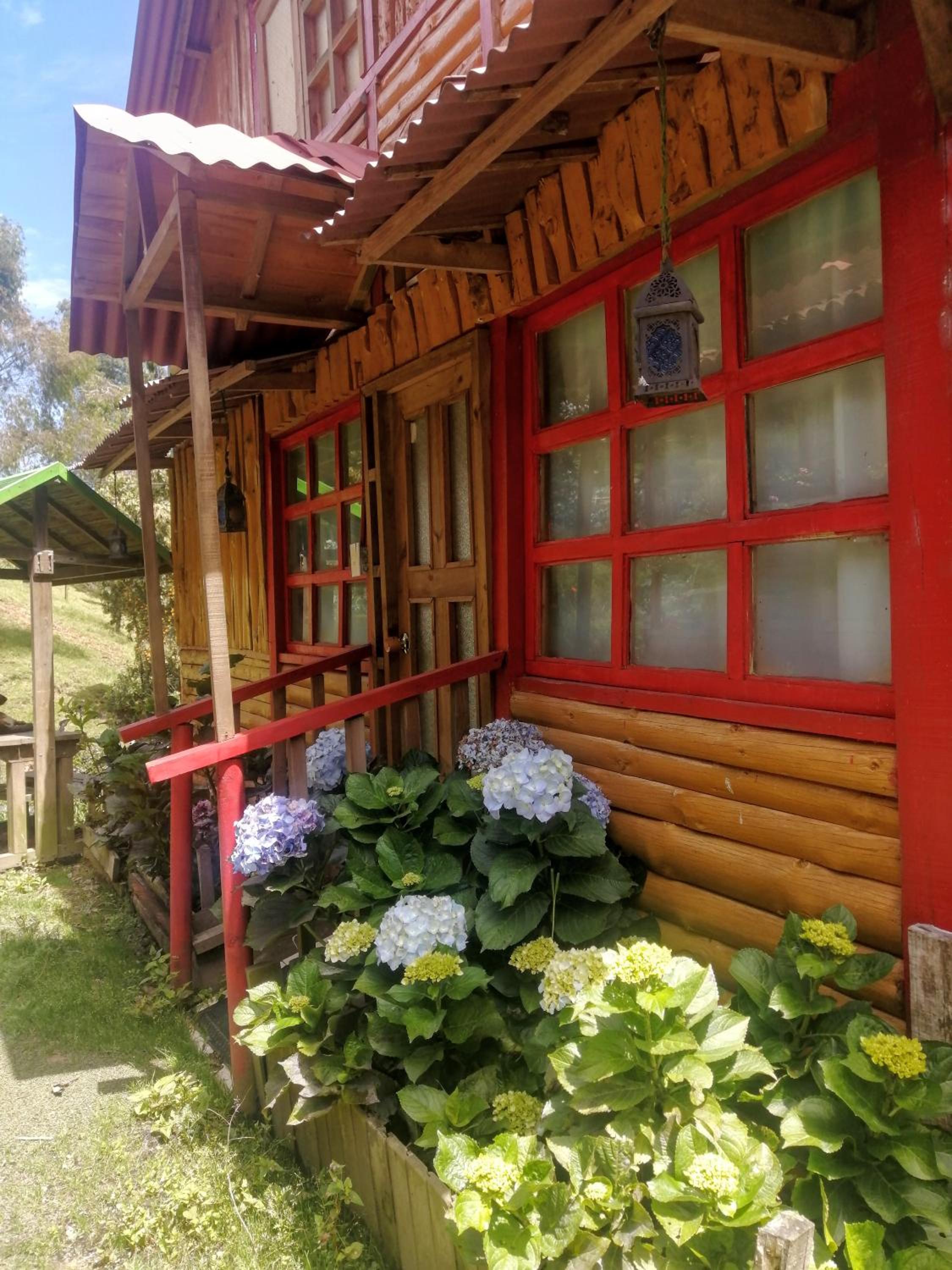 Photo 41