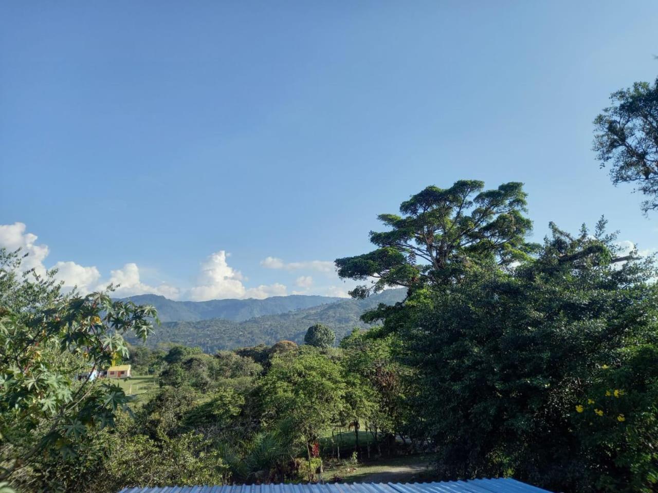 Eco Hotel Manu Viajeros - Property Image 12