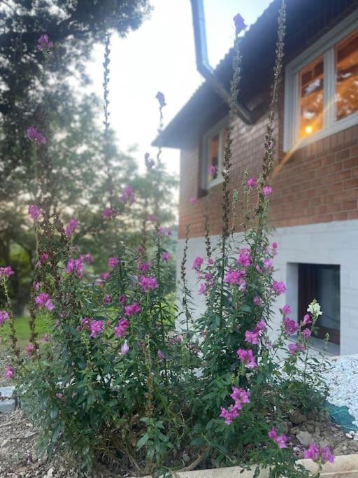 Rincón de ensueño en Uribe Kosta