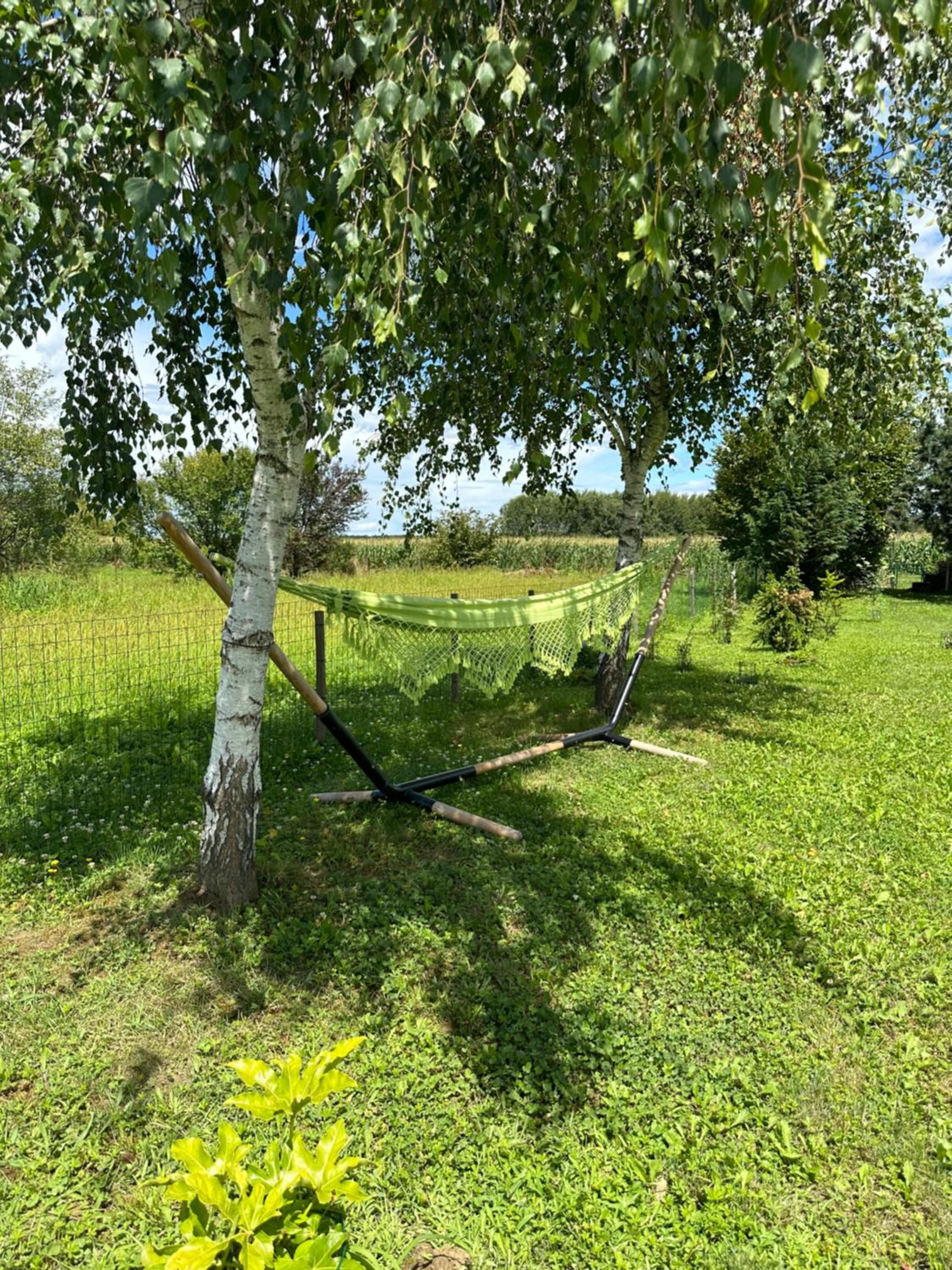 Photo 38