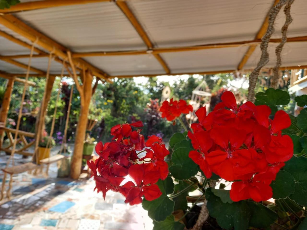 Eco Hotel Manu Viajeros - Property Image 3