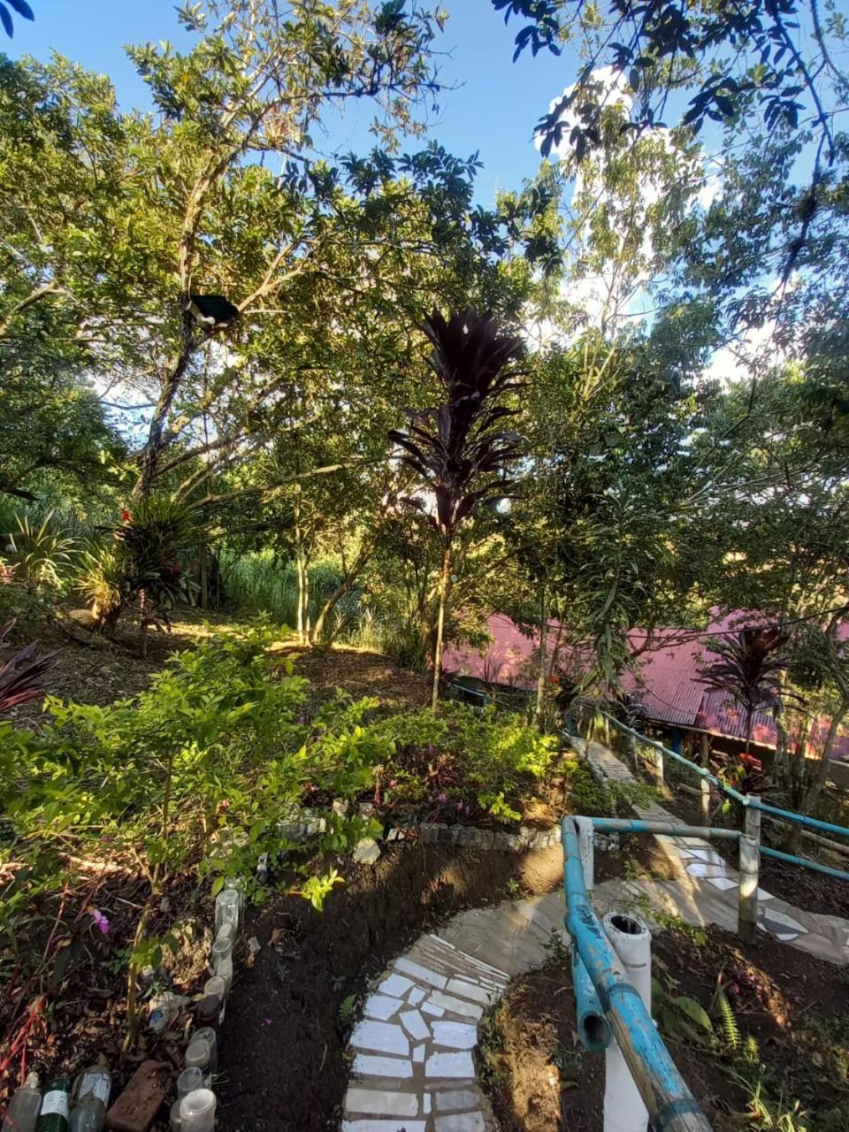 Eco Hotel Manu Viajeros - Property Image 4