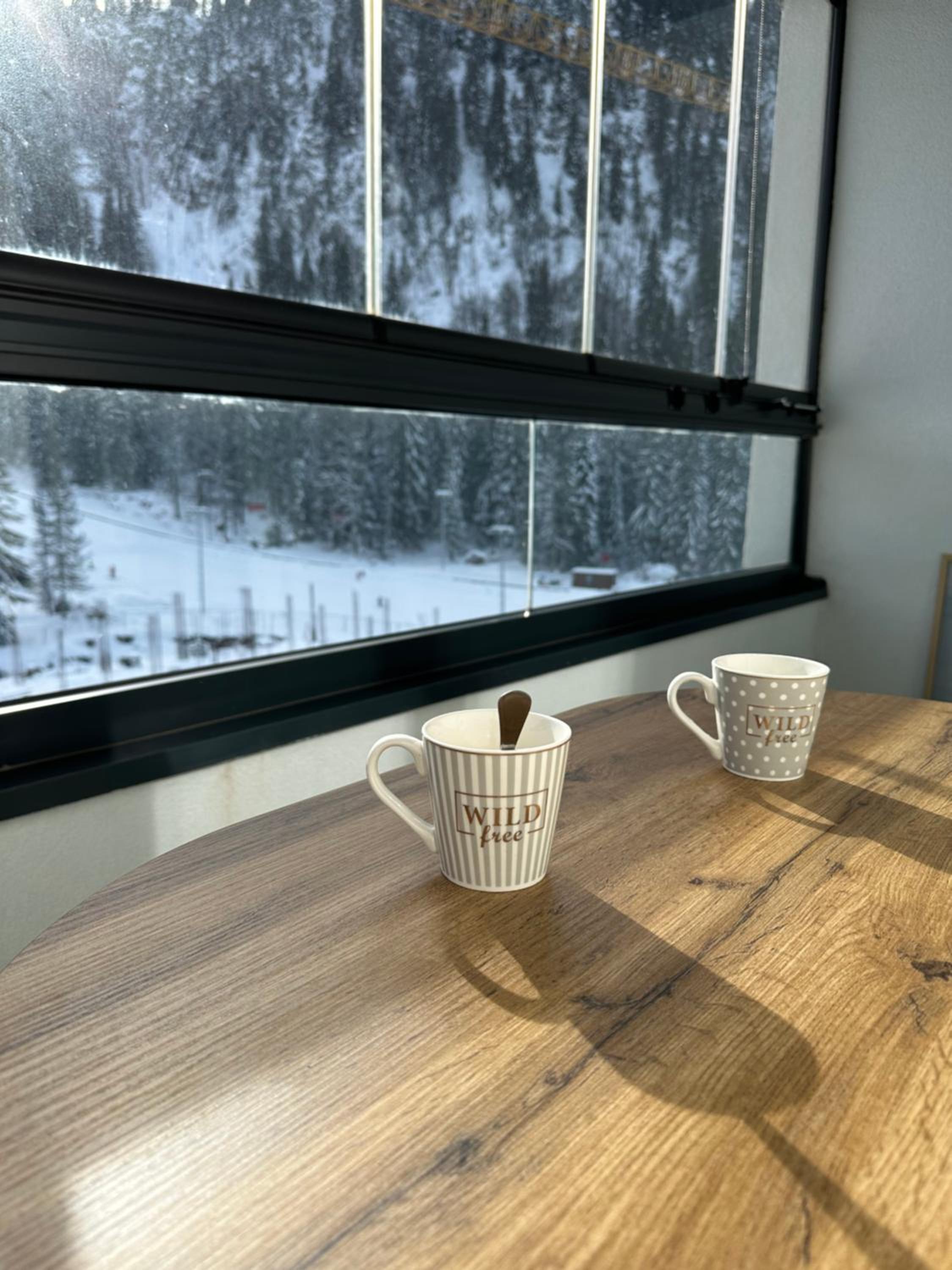 Staza Ski Apartment
