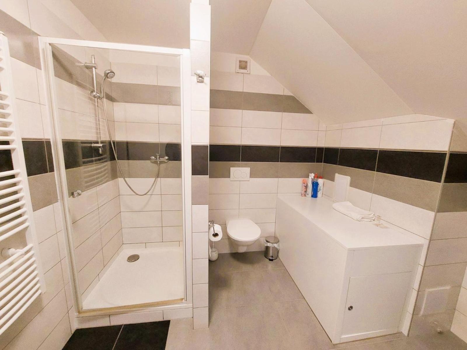 Spacious Historic Attic Loft in City Center 62 m