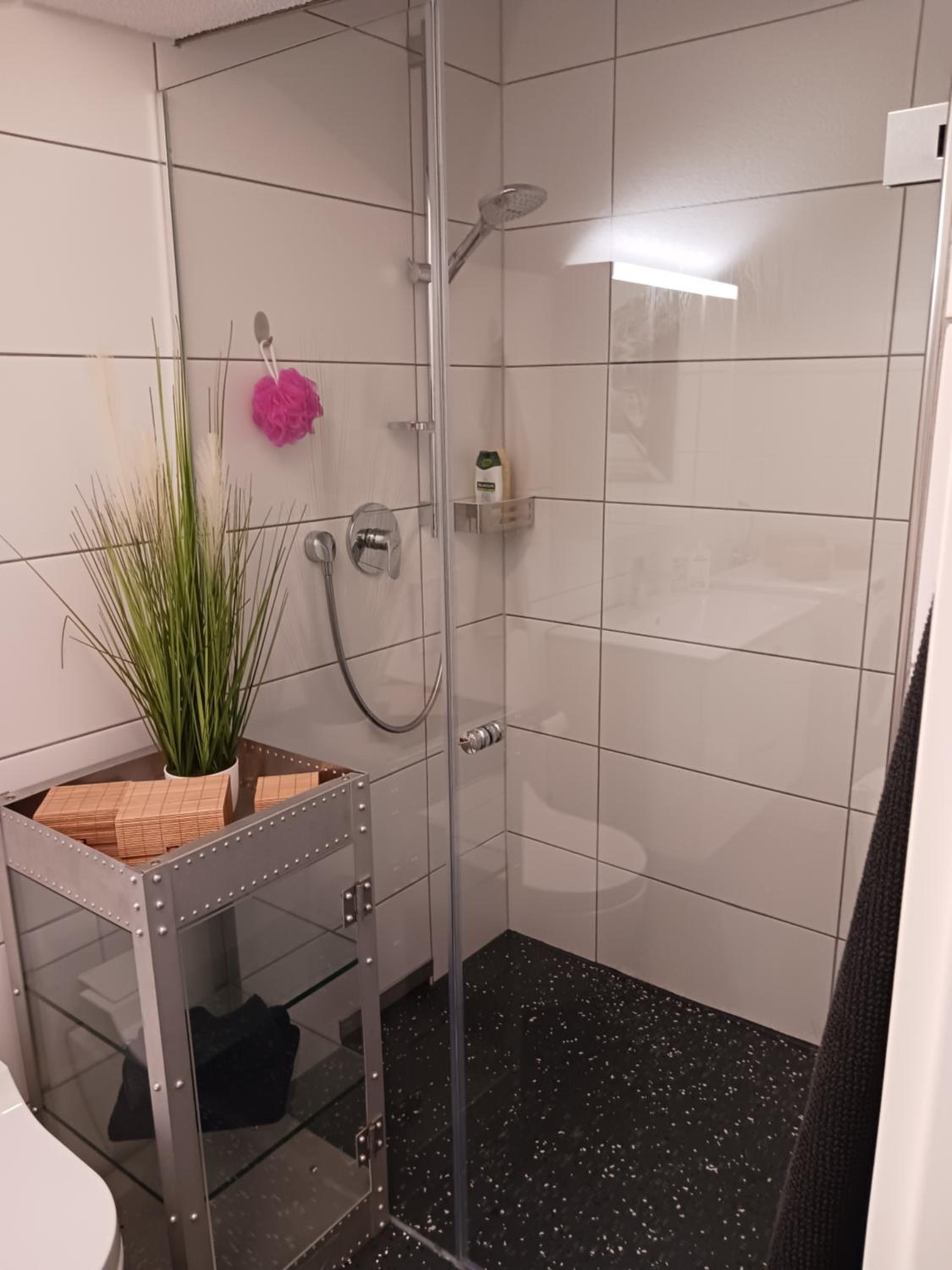 Moderne Loftwohnung mit Fahrtsuhl Bad Zurzach