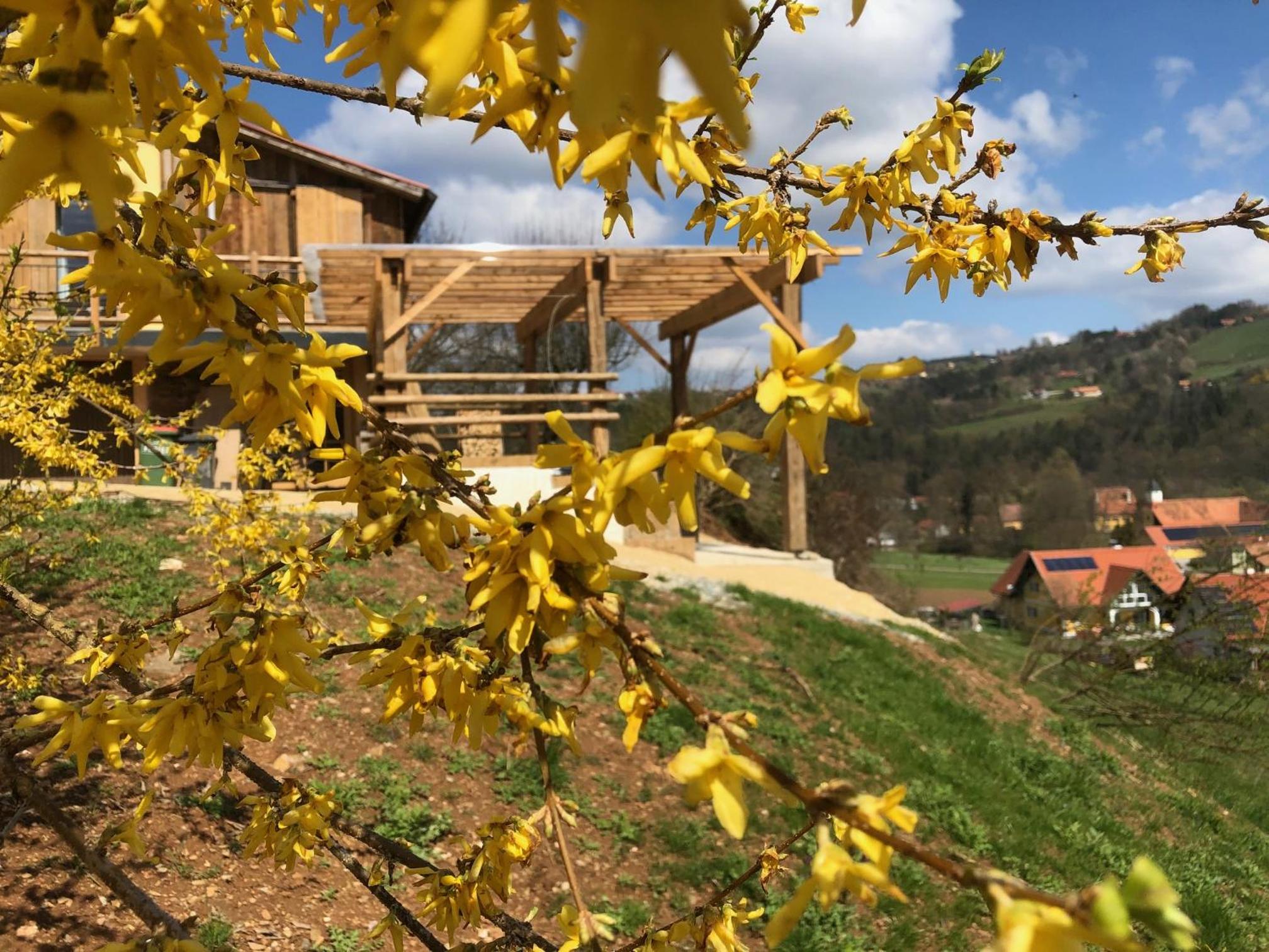Haus Sulmwirtmüller mit Jacuzzi und Sauna