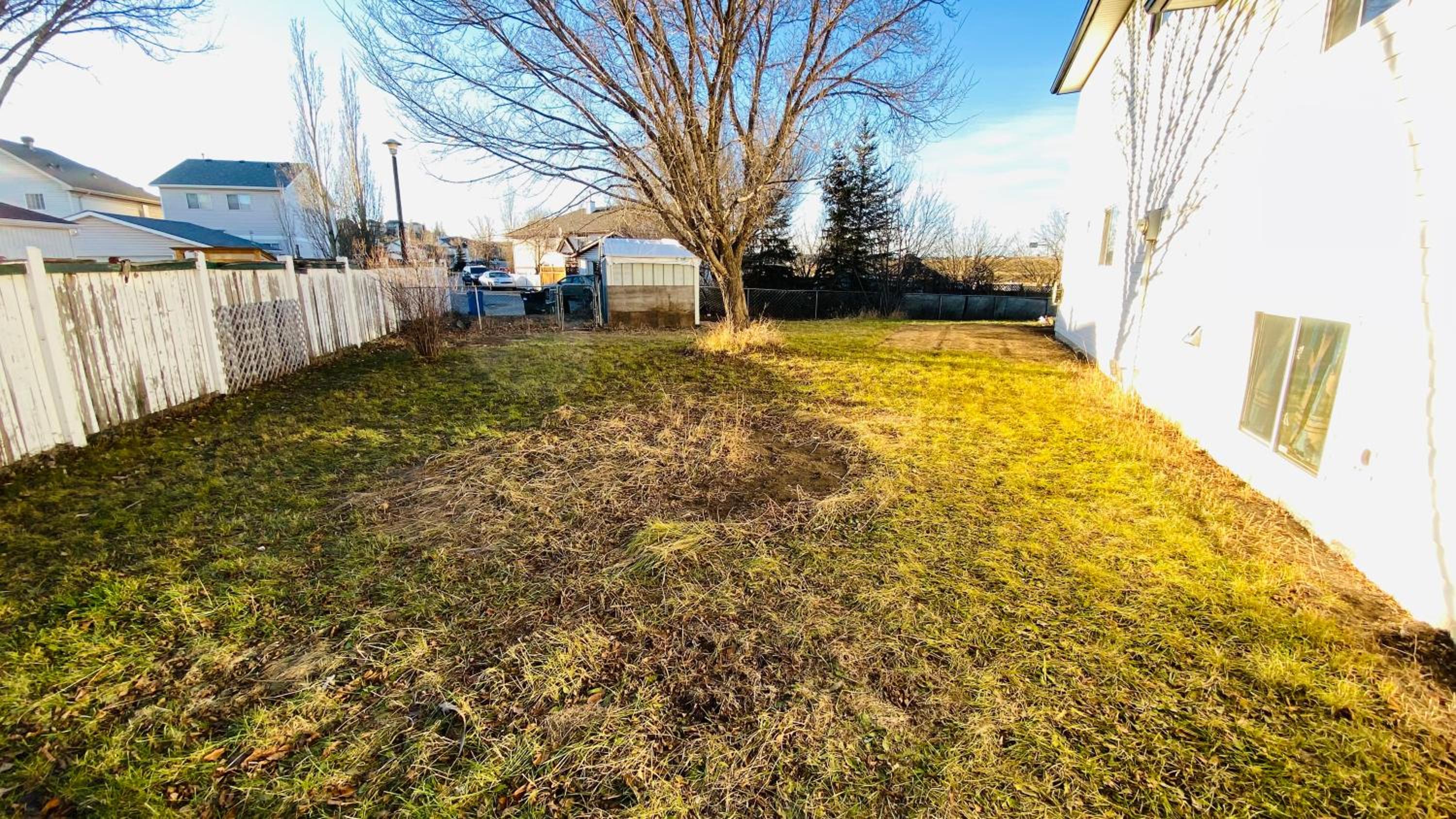 Walkout Basement Suite, 2 BDR 4BD, Bright and Spacious