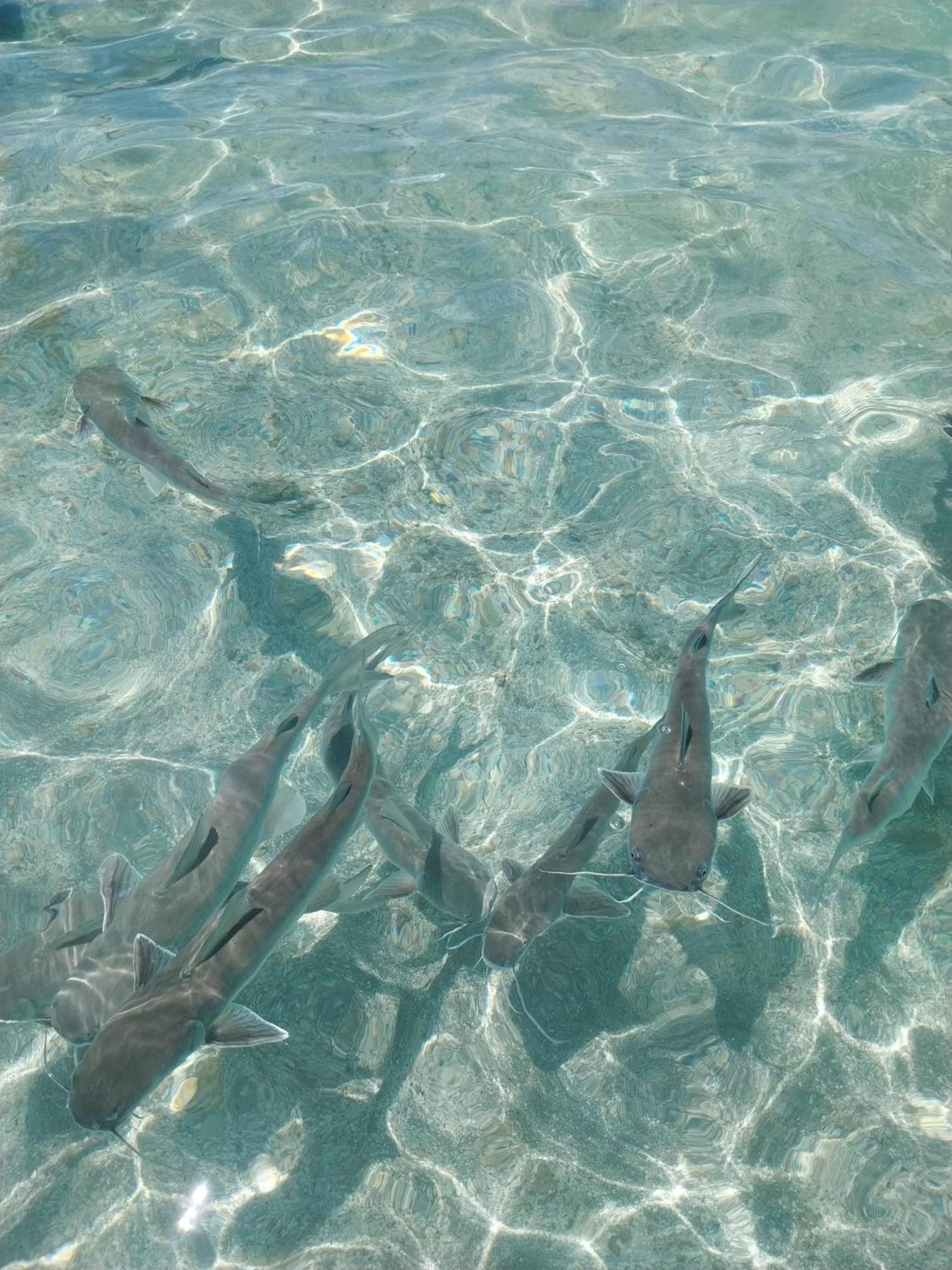 Casa Mar Azul