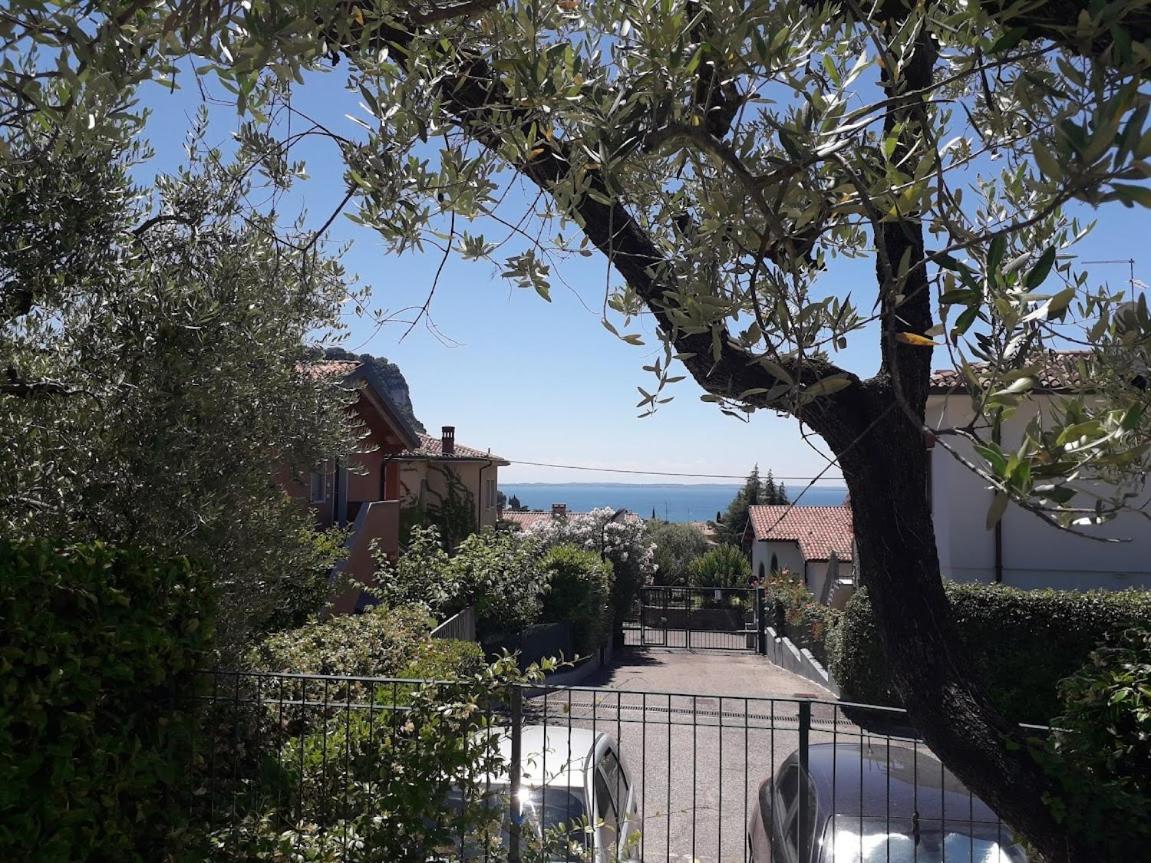 REGINA GARDESANA Luxury