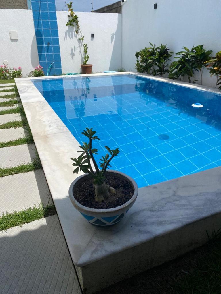Um Paraíso em Paripueira