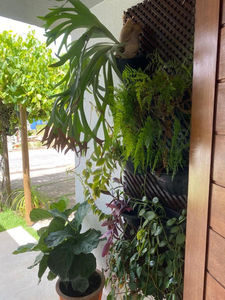 Um Paraíso em Paripueira