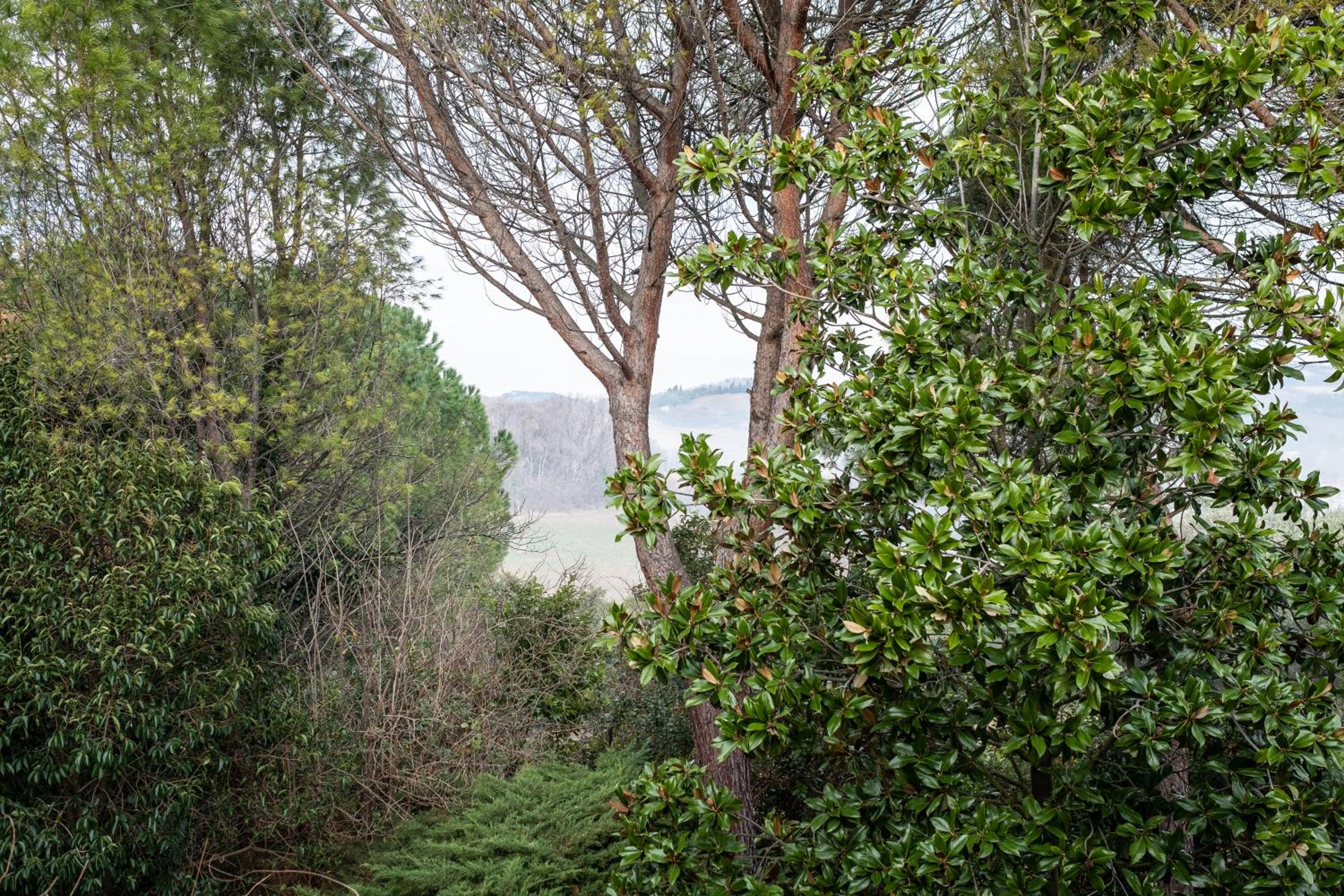 Idyllique maison de maître dans les collines de Pesaro entre Urbino et la mer - Villa Rina view 5