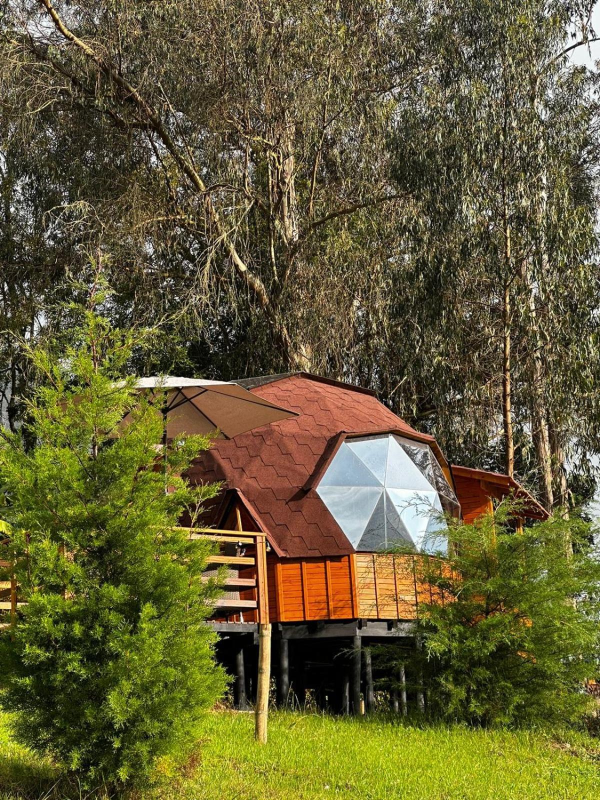 Glamping Shalom