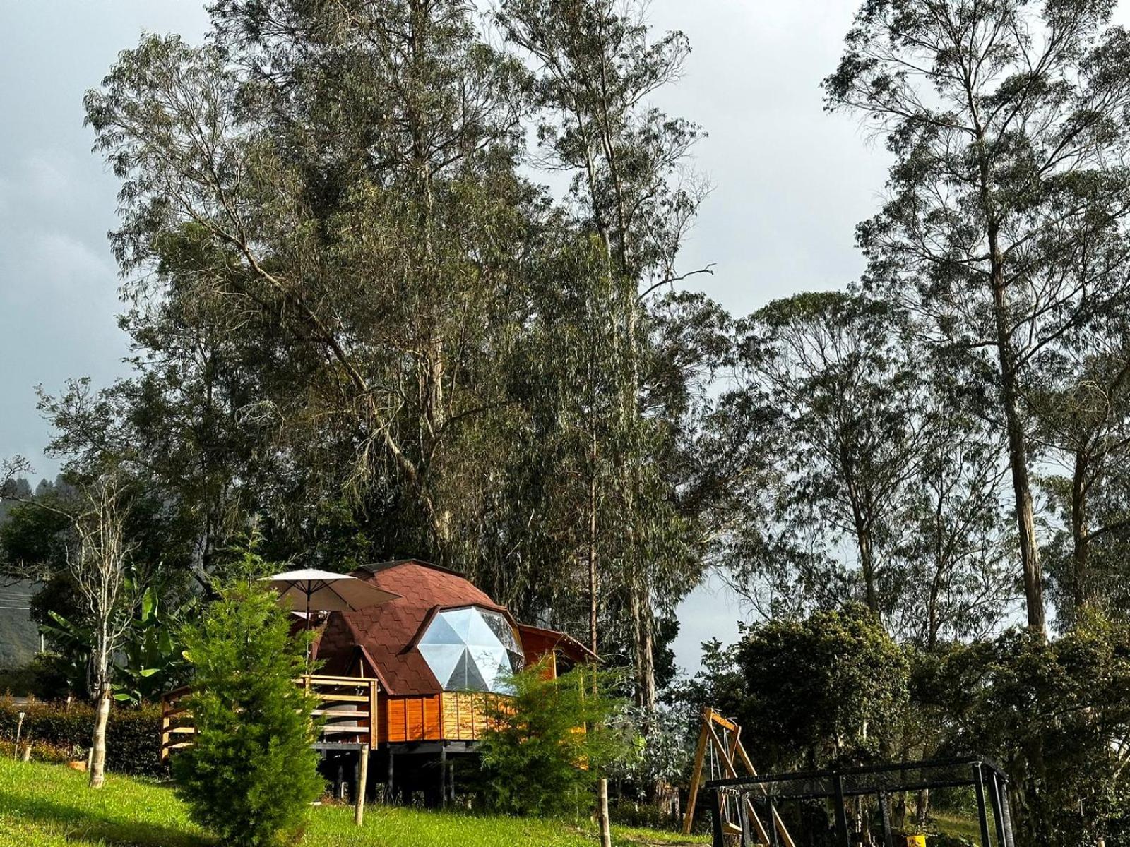 Glamping Shalom