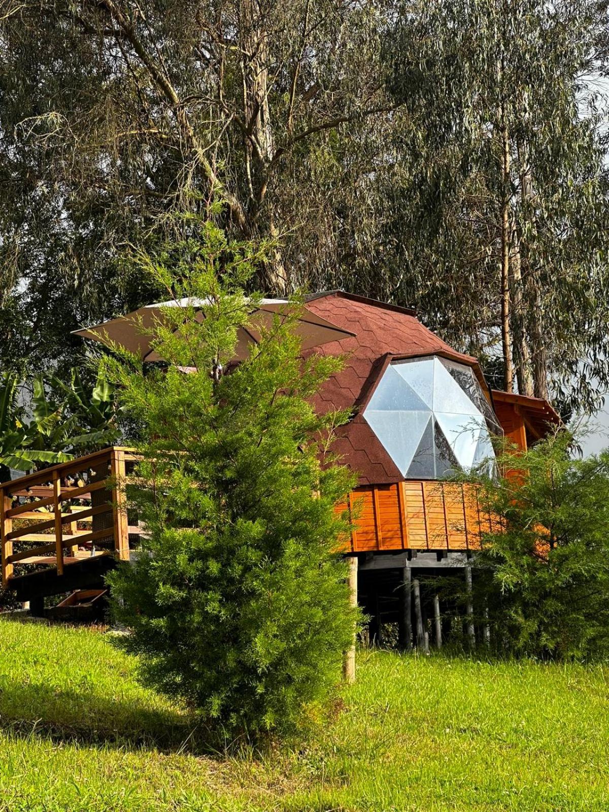 Glamping Shalom