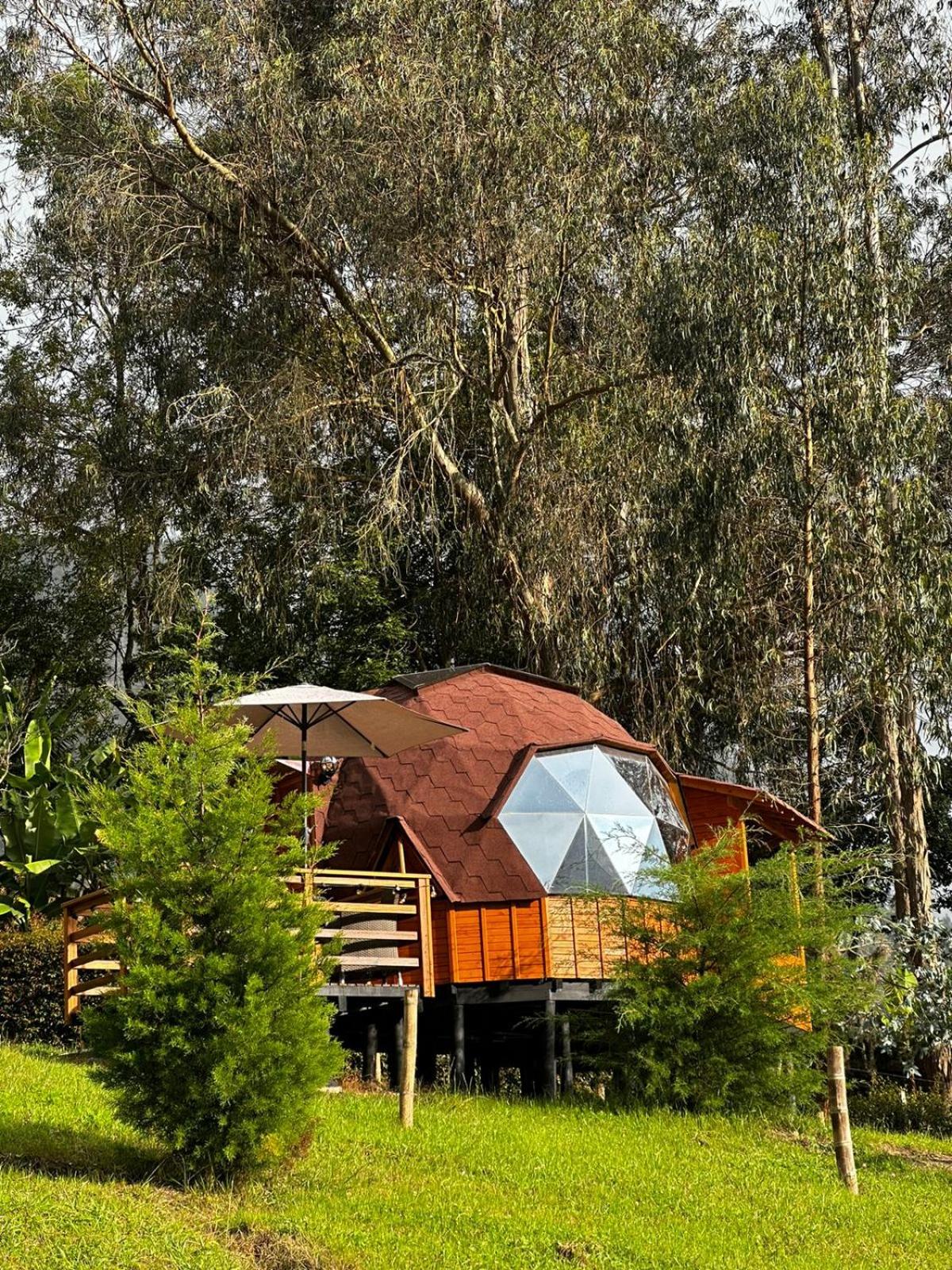 Glamping Shalom