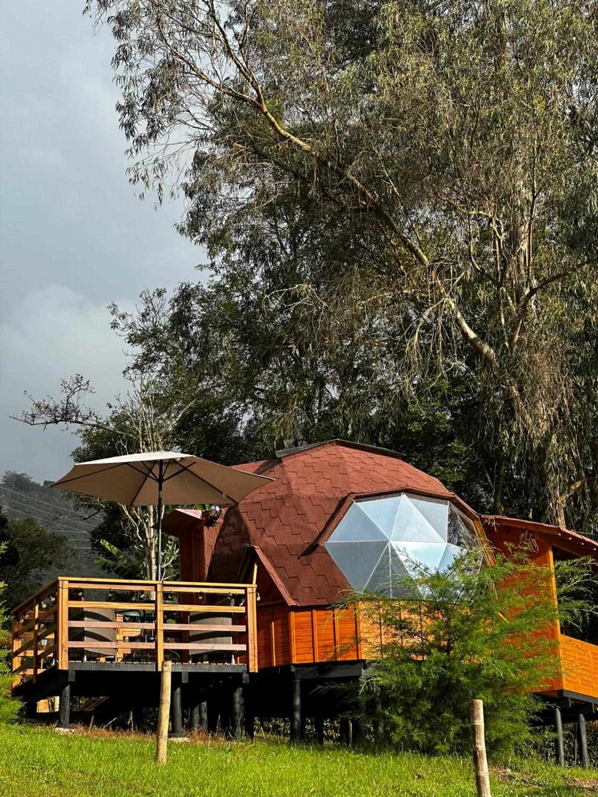 Glamping Shalom