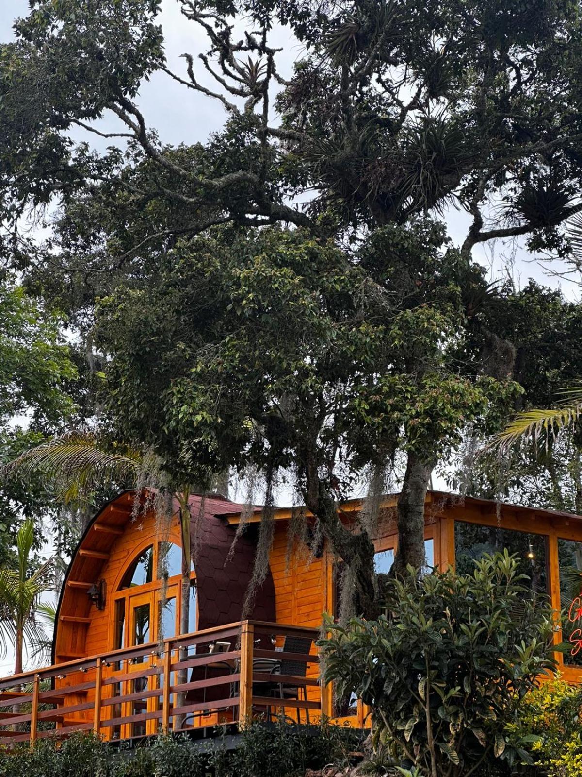 Glamping Shalom