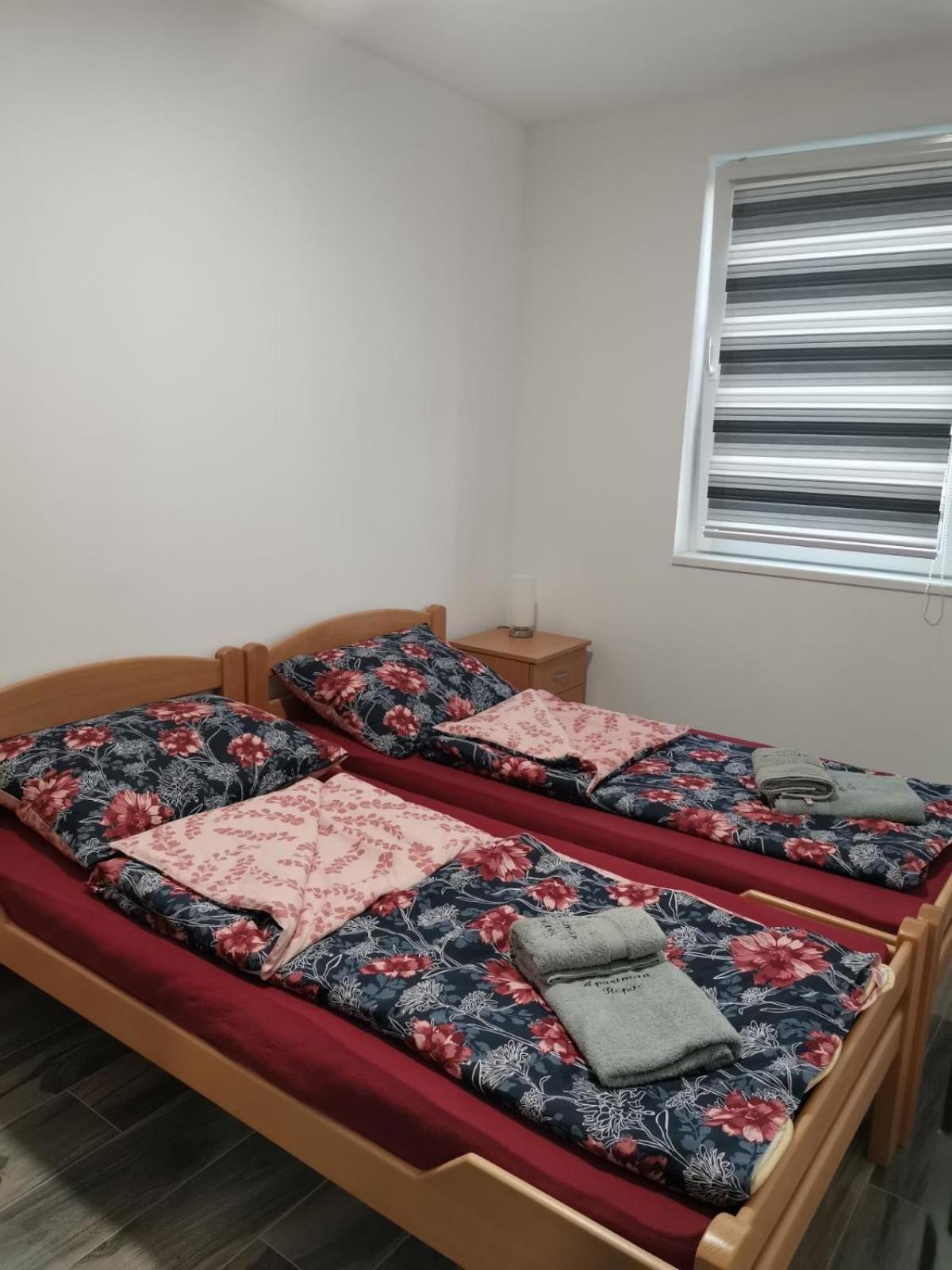 Apartman Repac view 3