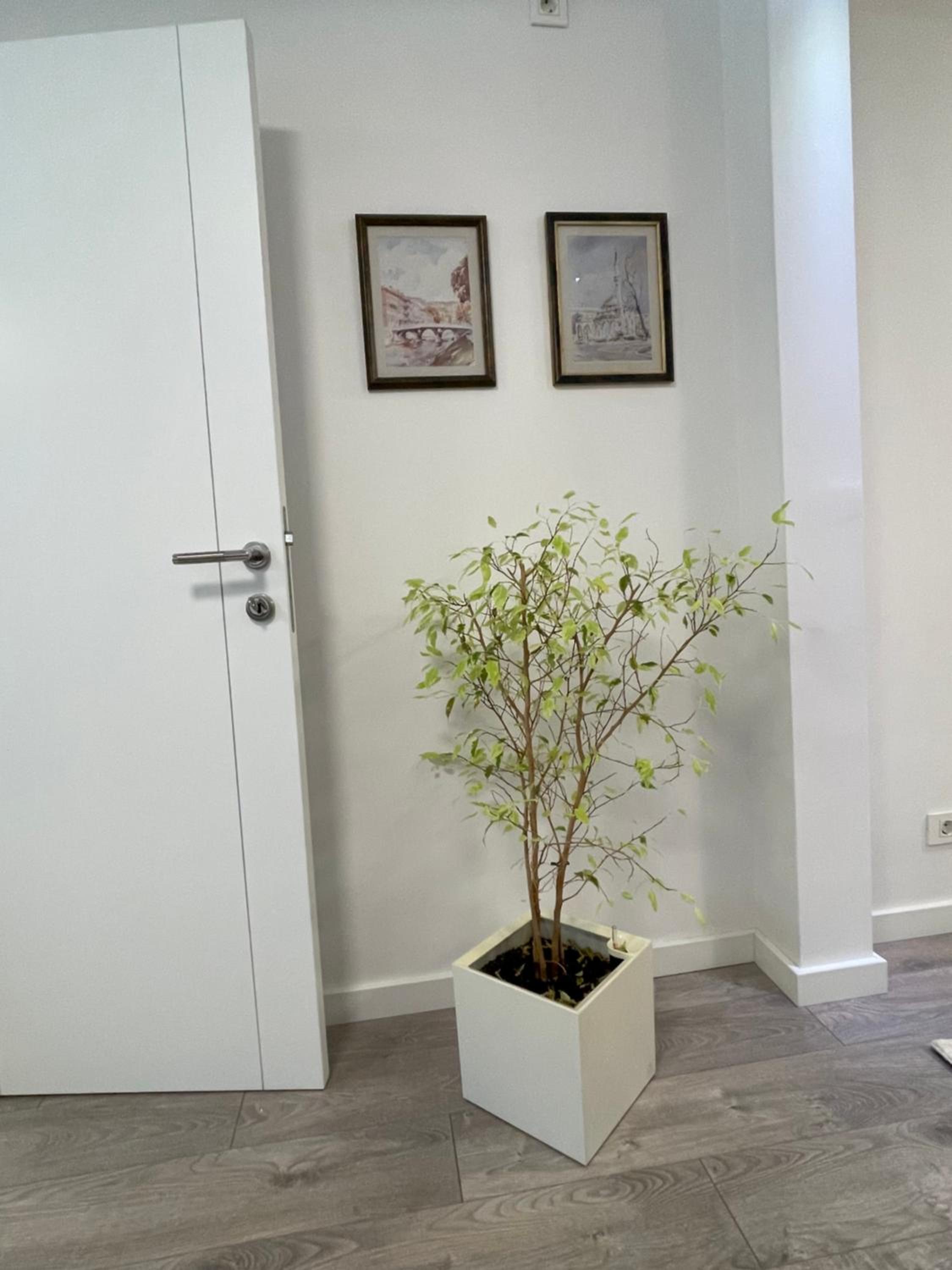 Apartman Zahra