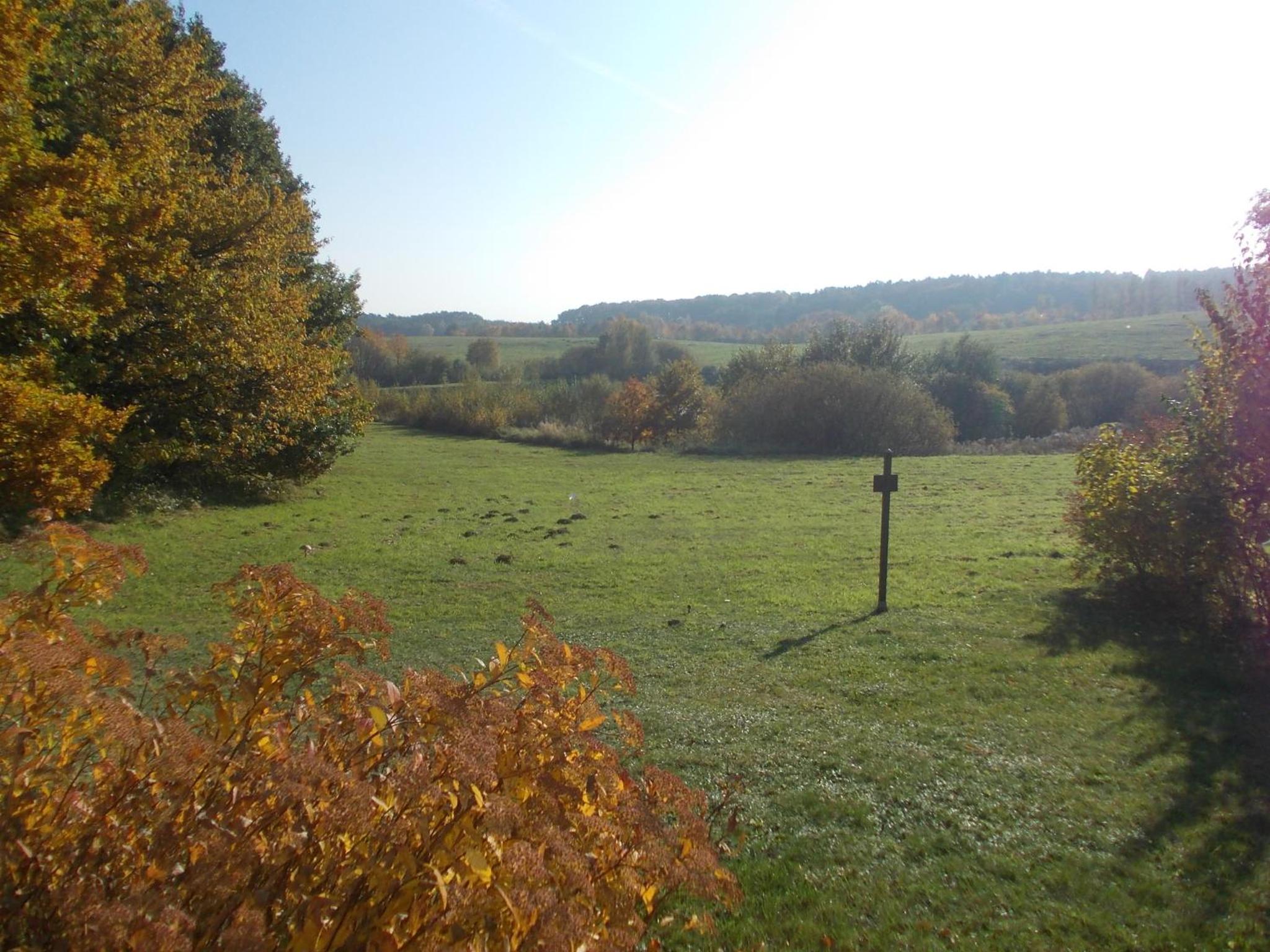 Ferienhäuser am Vogelpark - Boddenhaus 60