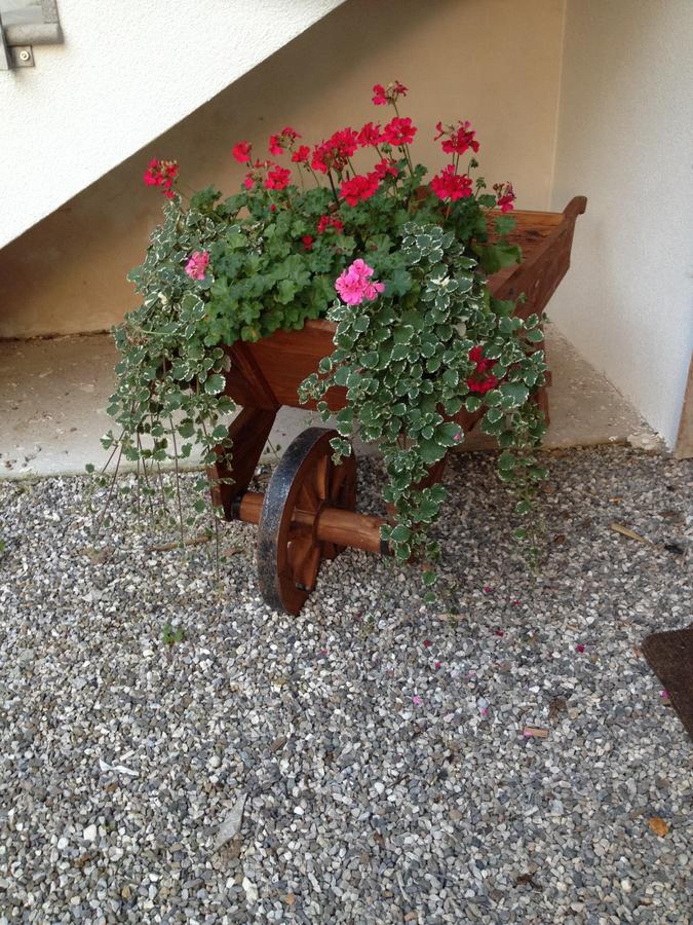 Farmstay Alloggio Cort di Branc photo 2