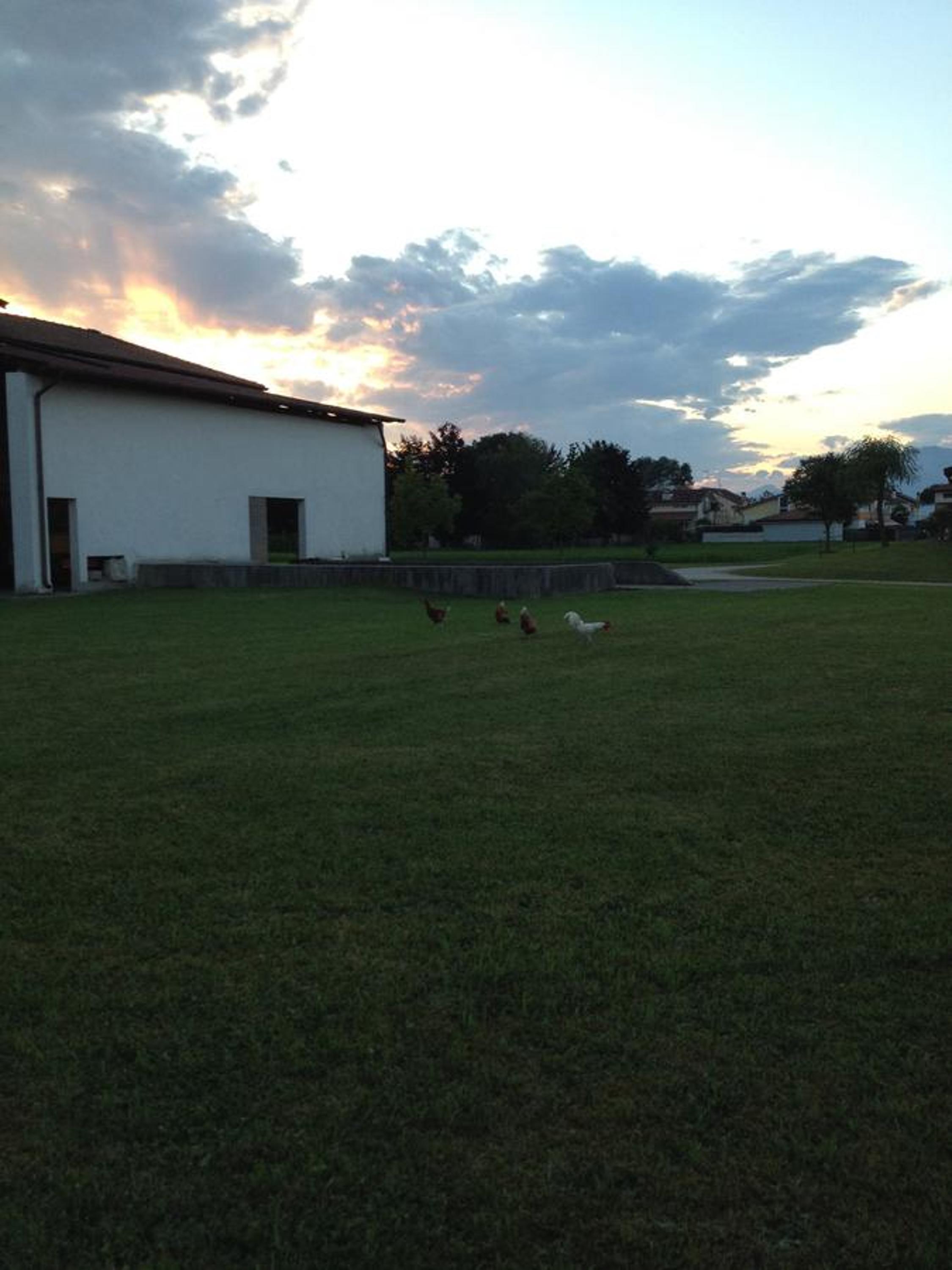 Farmstay Alloggio Cort di Branc photo 4