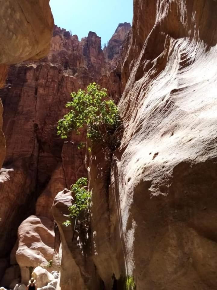 Photo 31