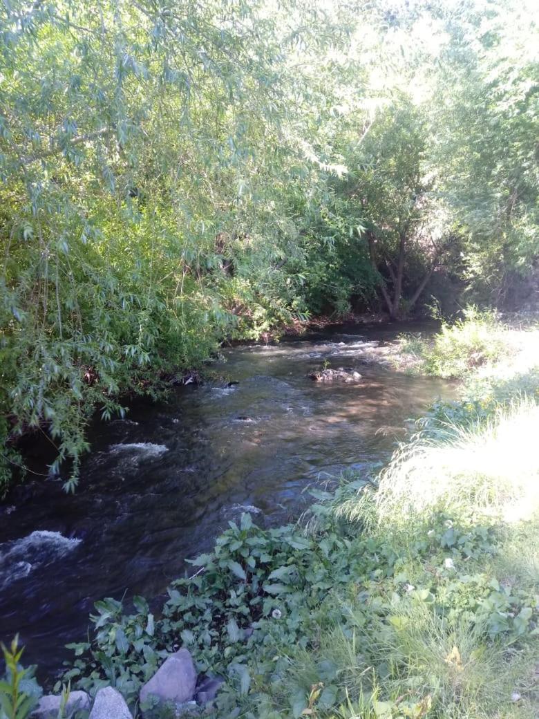 Cabañas del Arroyo