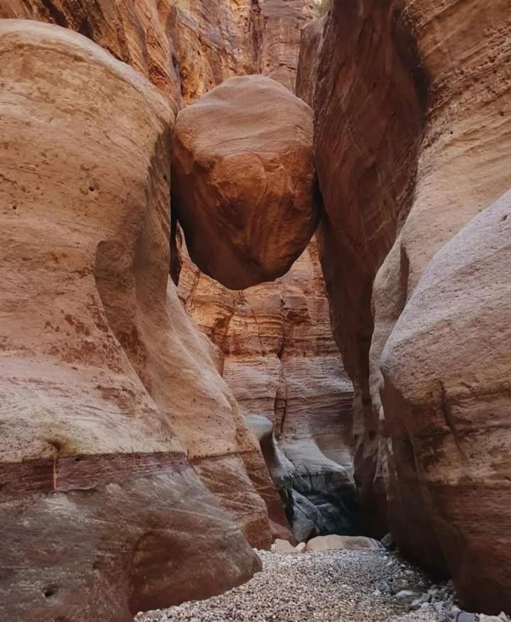 Alnwatif Gate guest house Dana nature reserve view 5