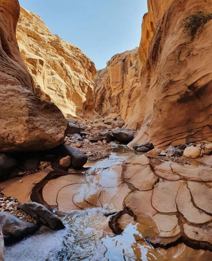 Alnwatif Gate guest house Dana nature reserve view 3