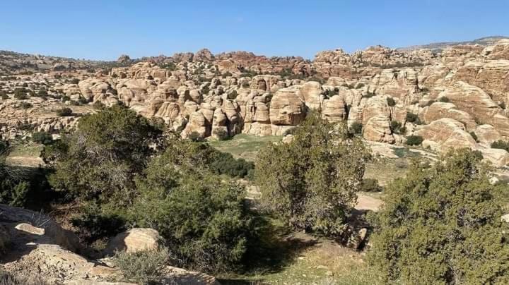 Alnwatif Gate guest house Dana nature reserve view 2