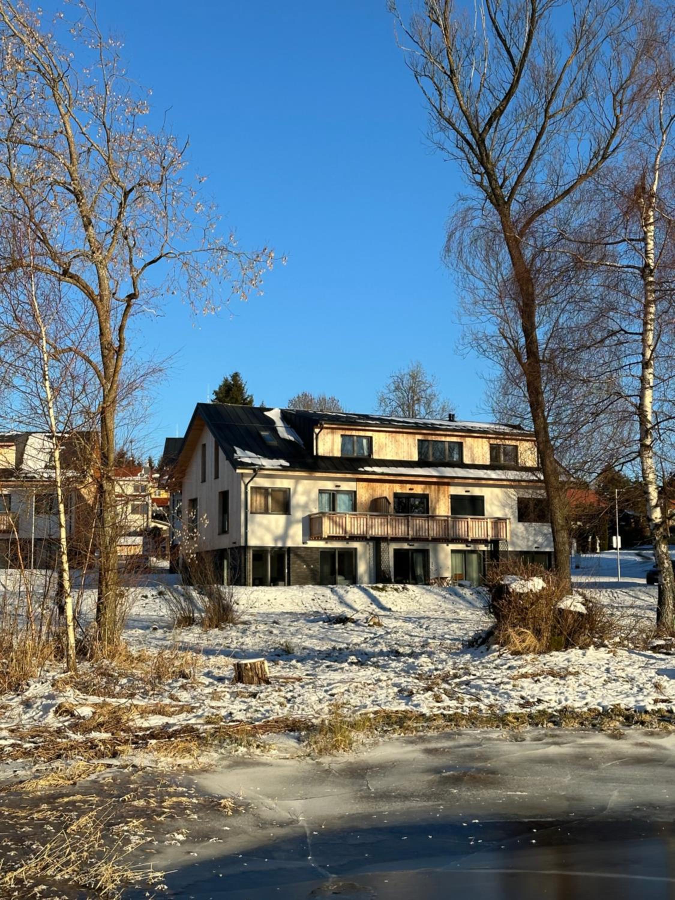 Unique Lipno Apartment