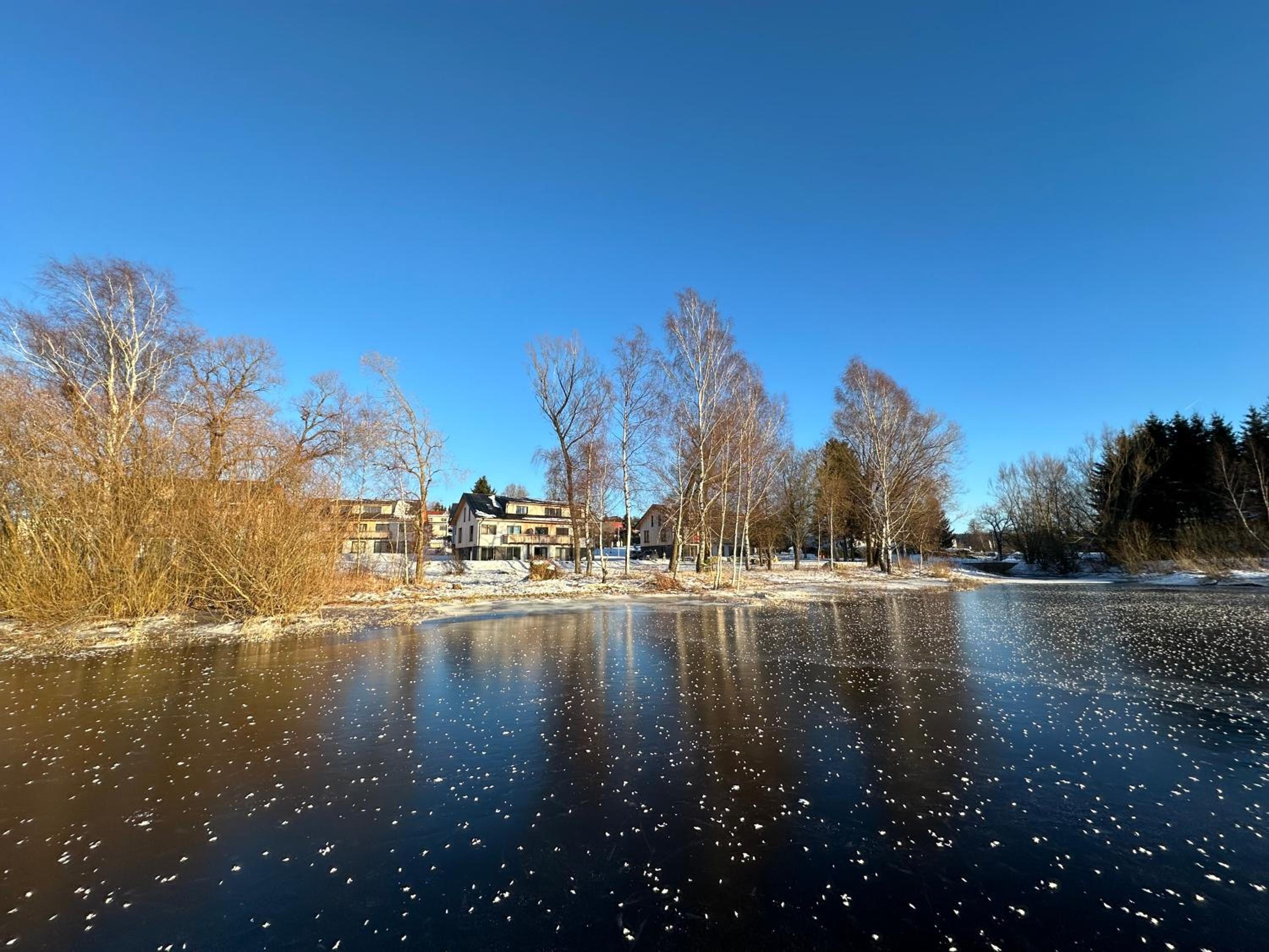 Unique Lipno Apartment