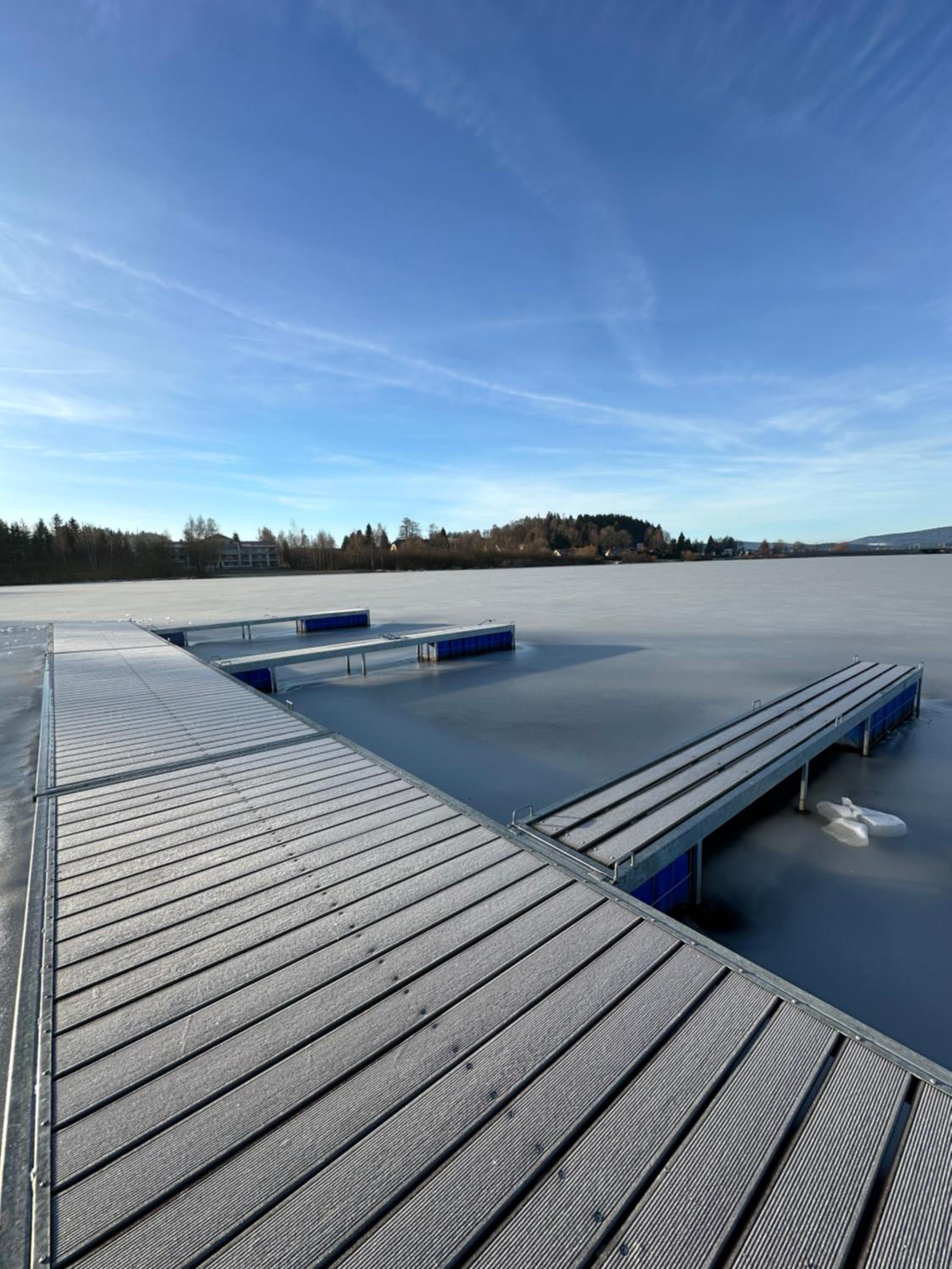 Unique Lipno Apartment
