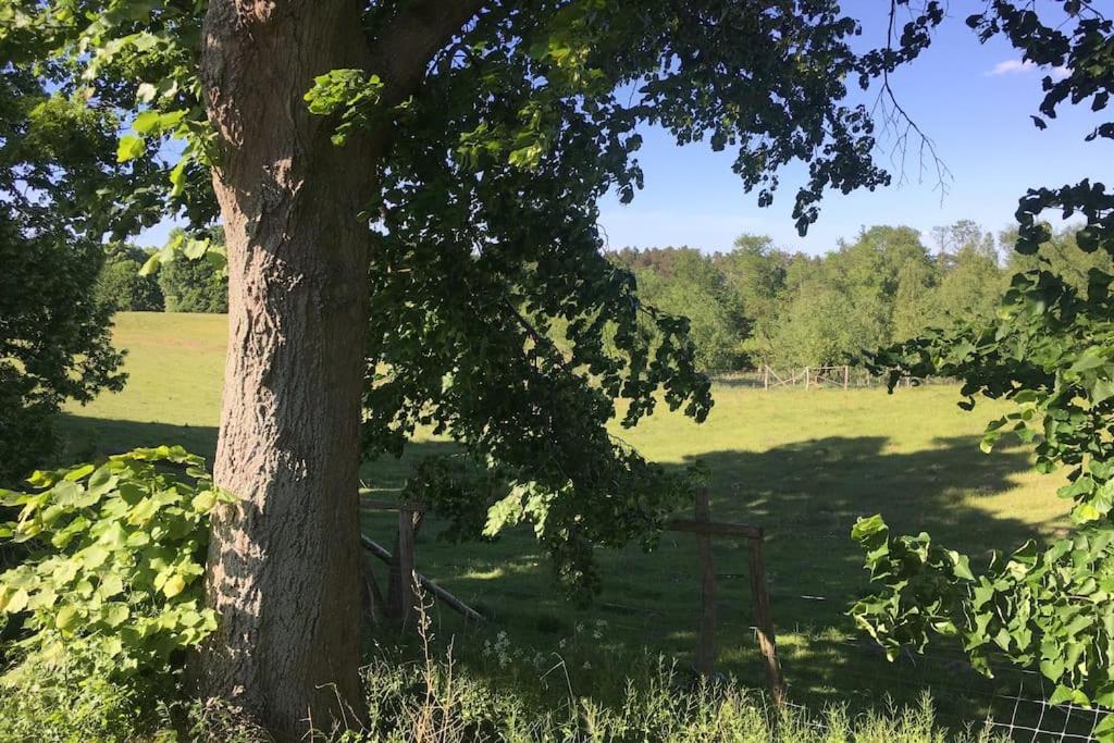 Fewo im Naturschutzgebiet, mit großem Balkon