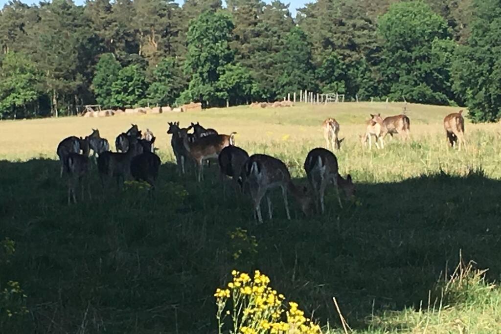 Fewo im Naturschutzgebiet, mit großem Balkon