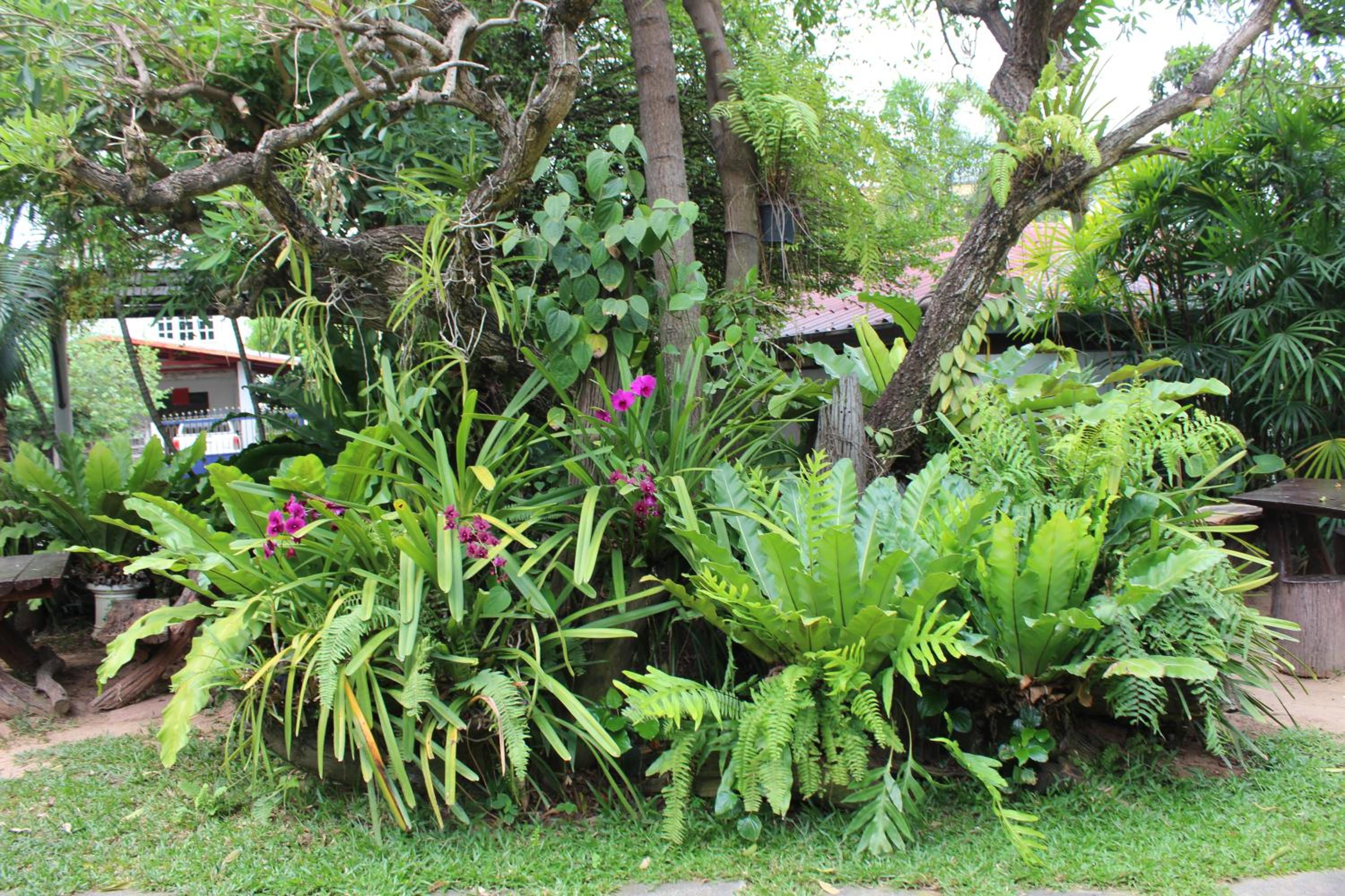 White Elephant Resort