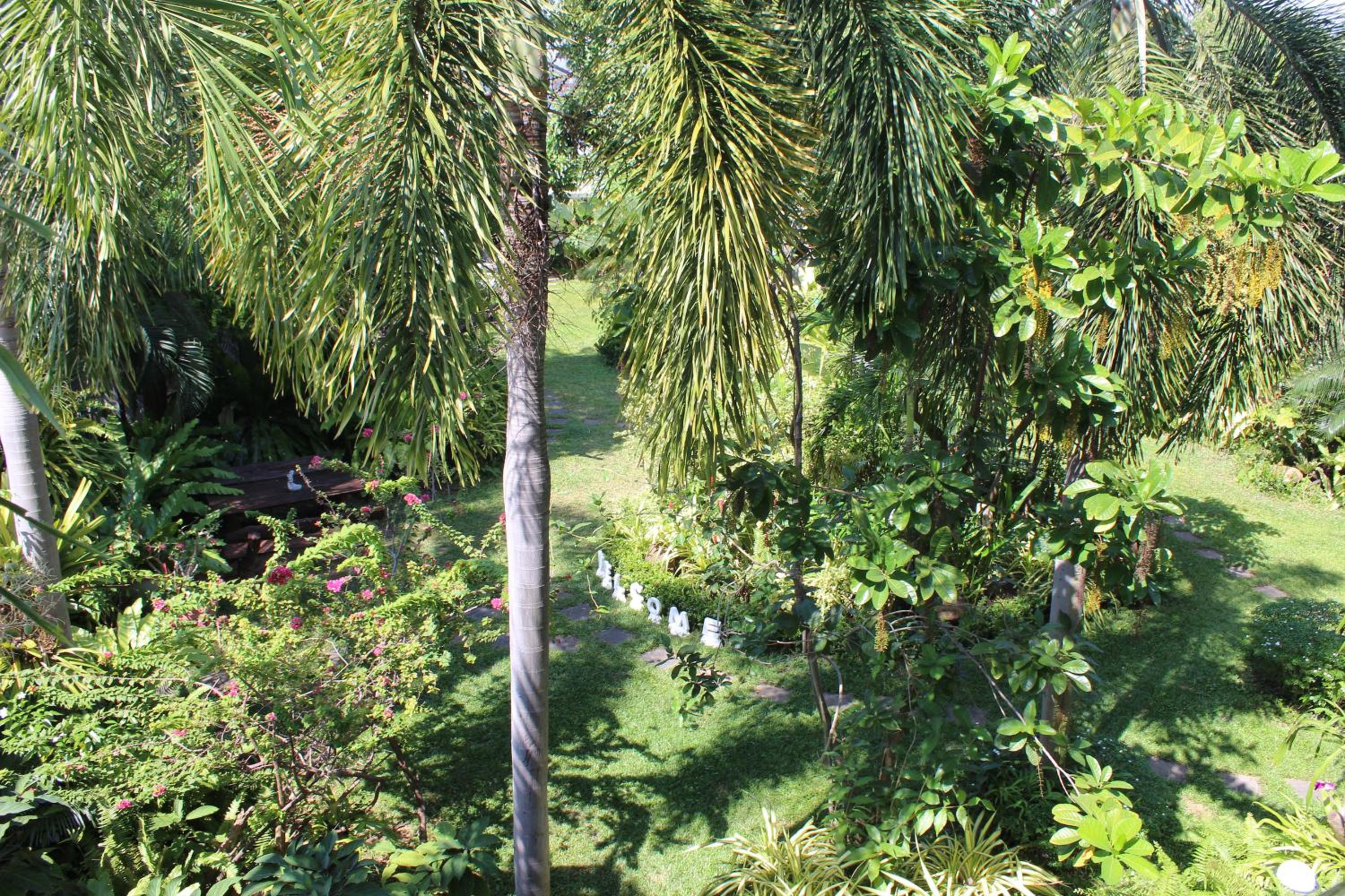 White Elephant Resort
