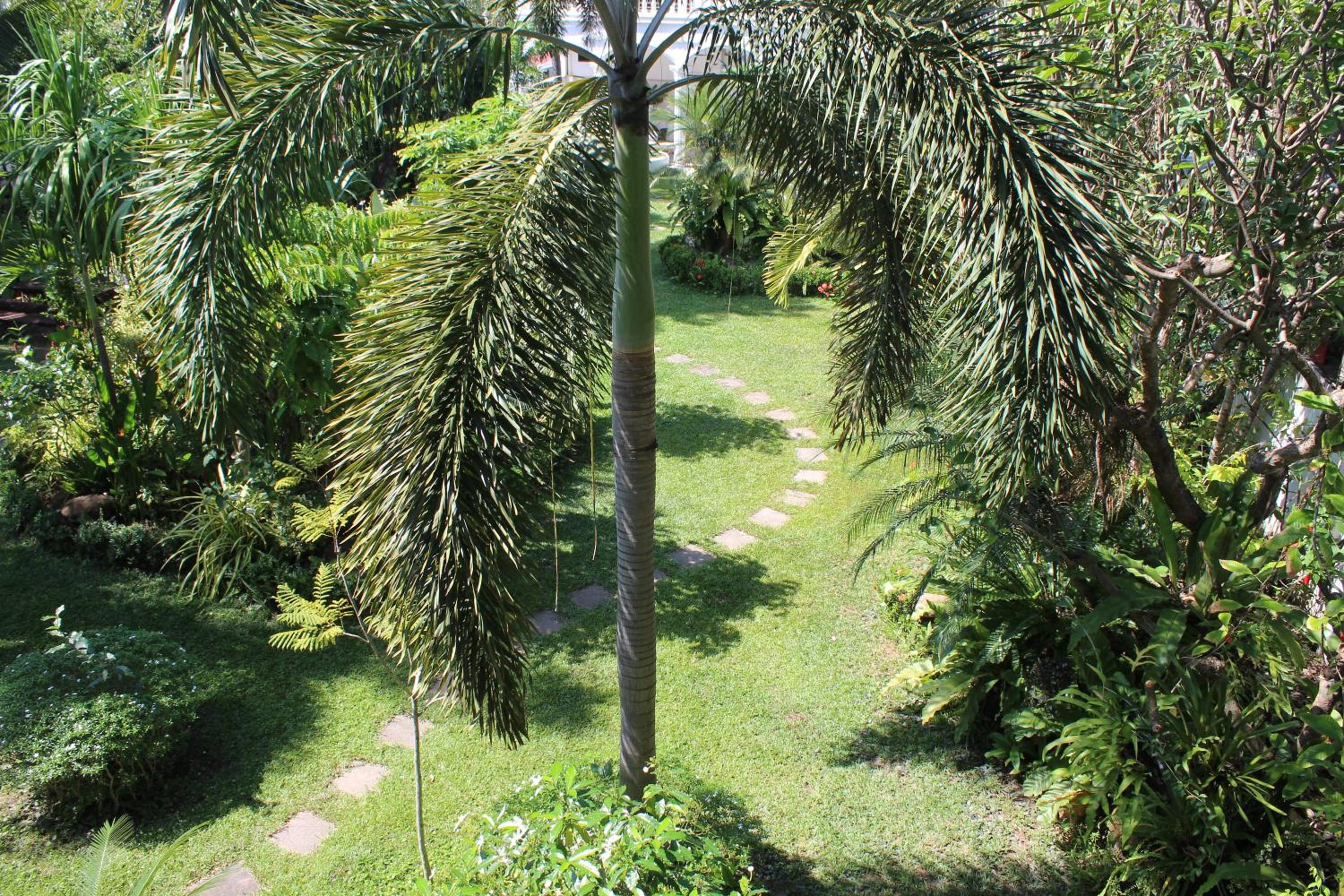 White Elephant Resort