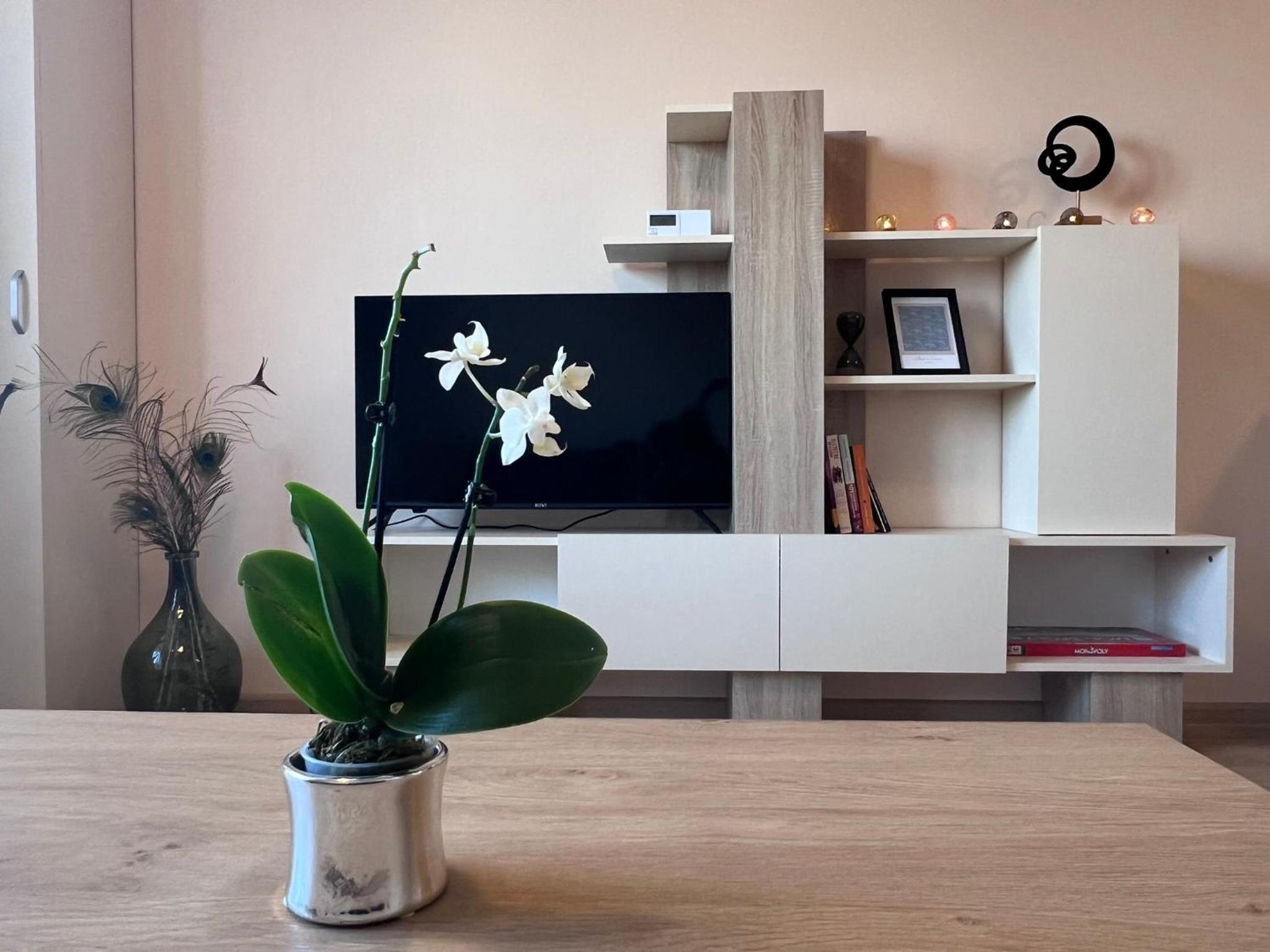 Cappuccino apartment