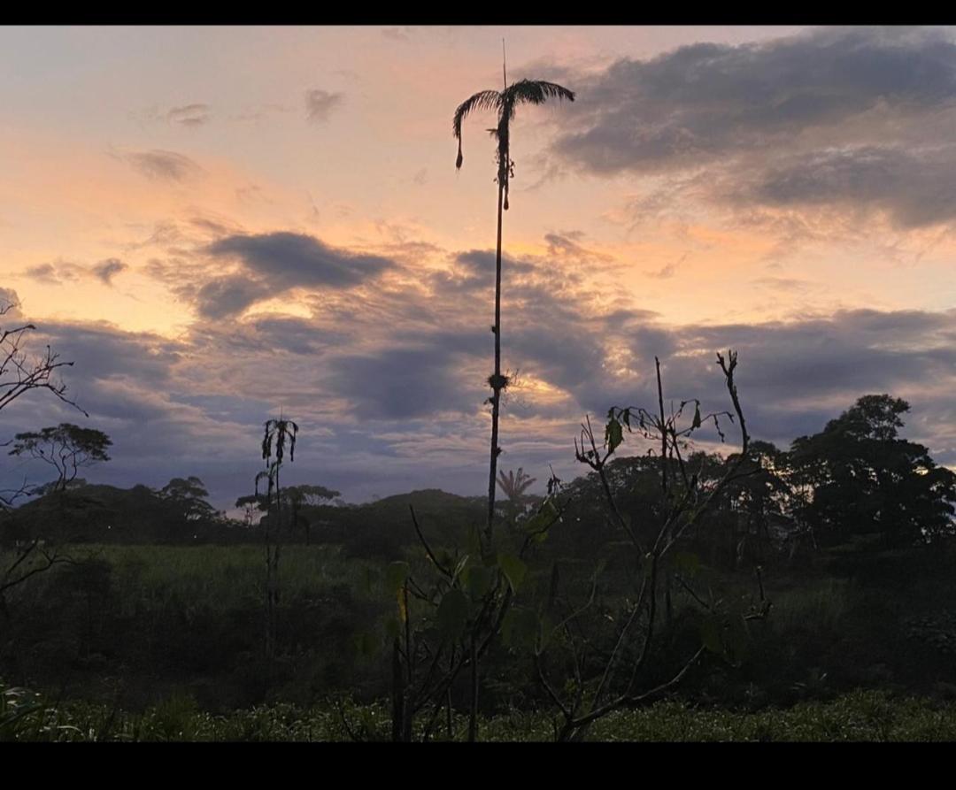 El Jardín Secreto De Alvita