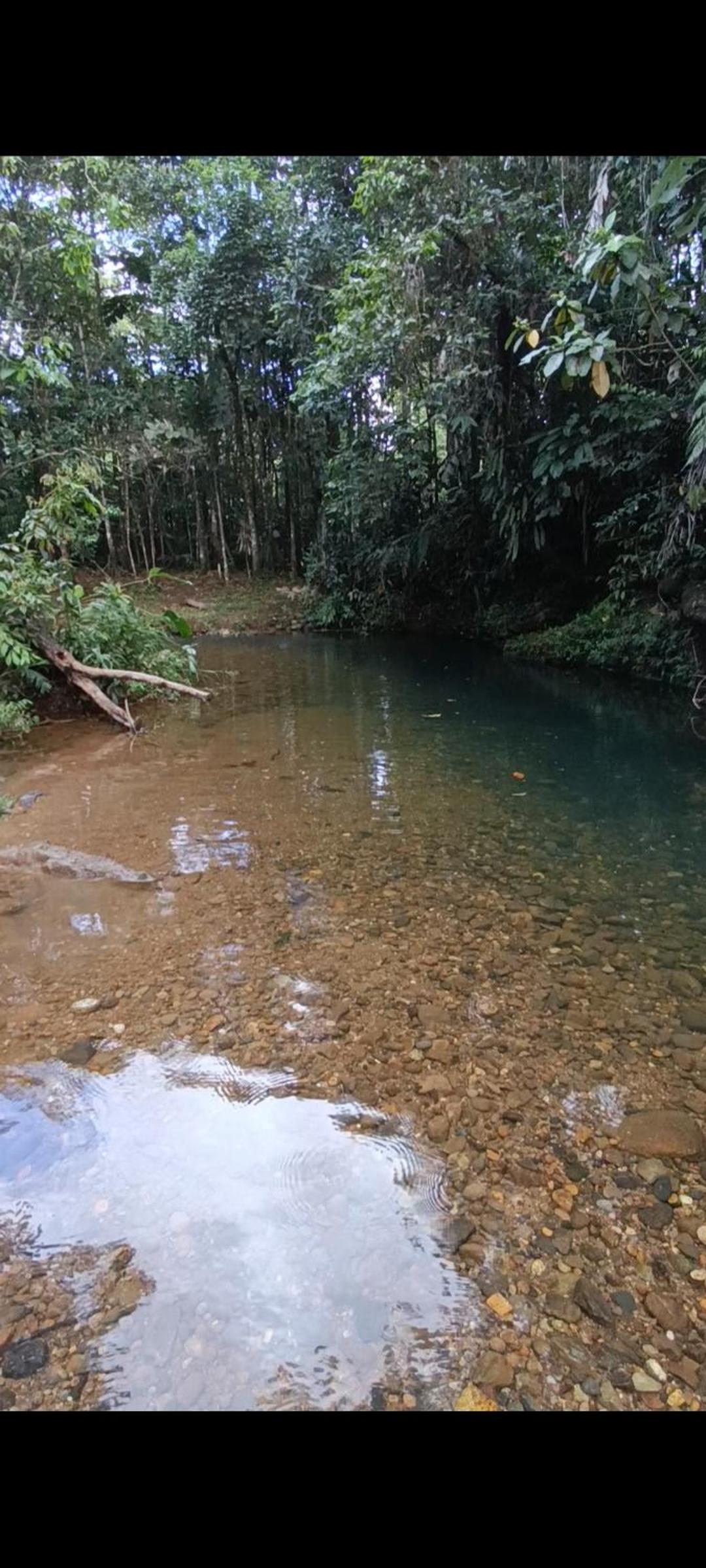 El Jardín Secreto De Alvita